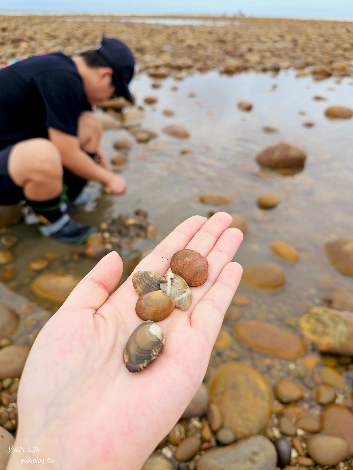 桃園「2024海客季」8/24海螺館過關拿冰霸杯！桃園新屋海上長城、騎腳踏車一日遊超好玩~ - yuki.tw