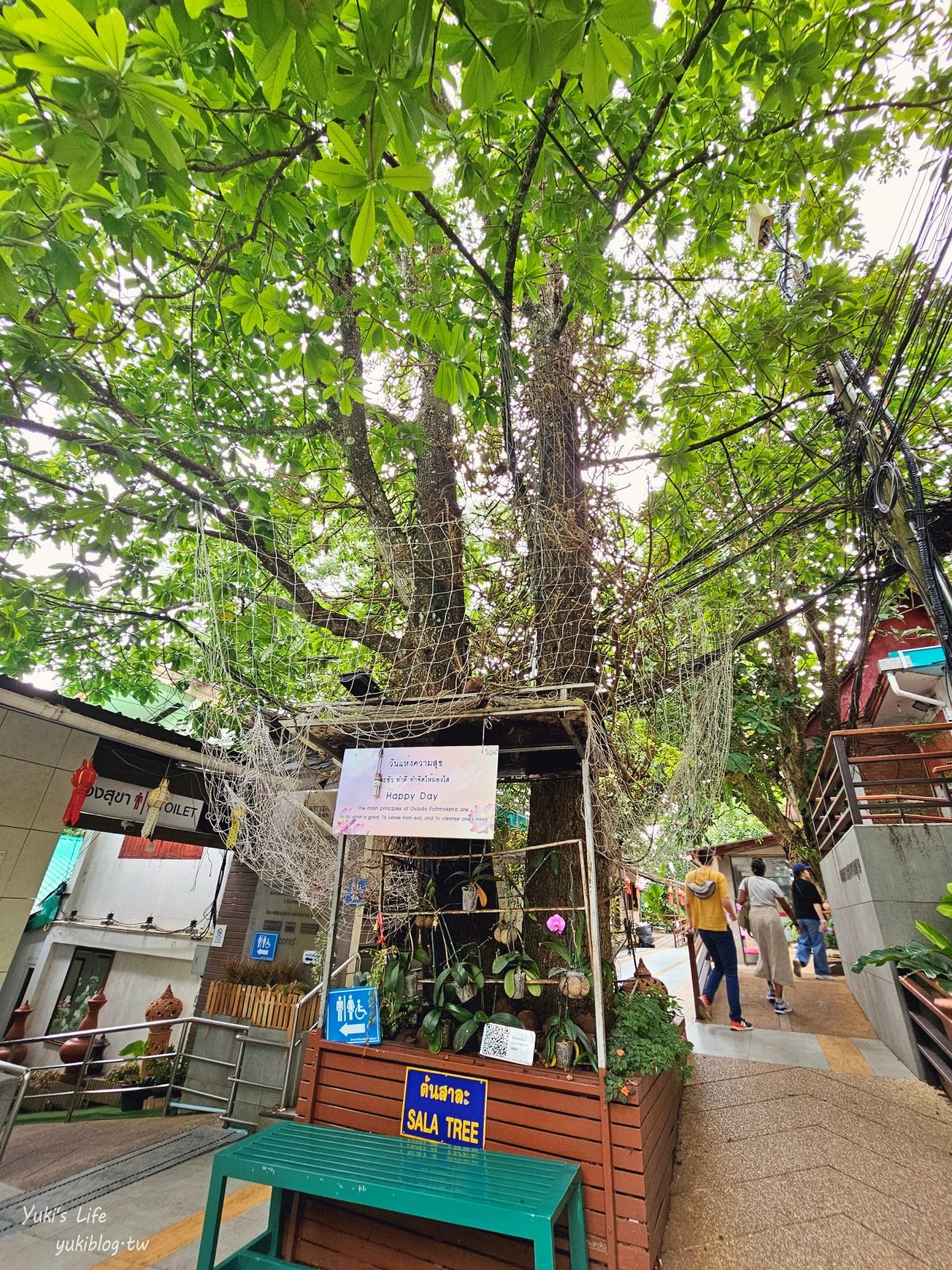 20240822175713_0_9e7040 清邁景點【雙龍寺】搭纜車去參拜金光閃閃的雙龍寺廟，清邁必遊必拍景點