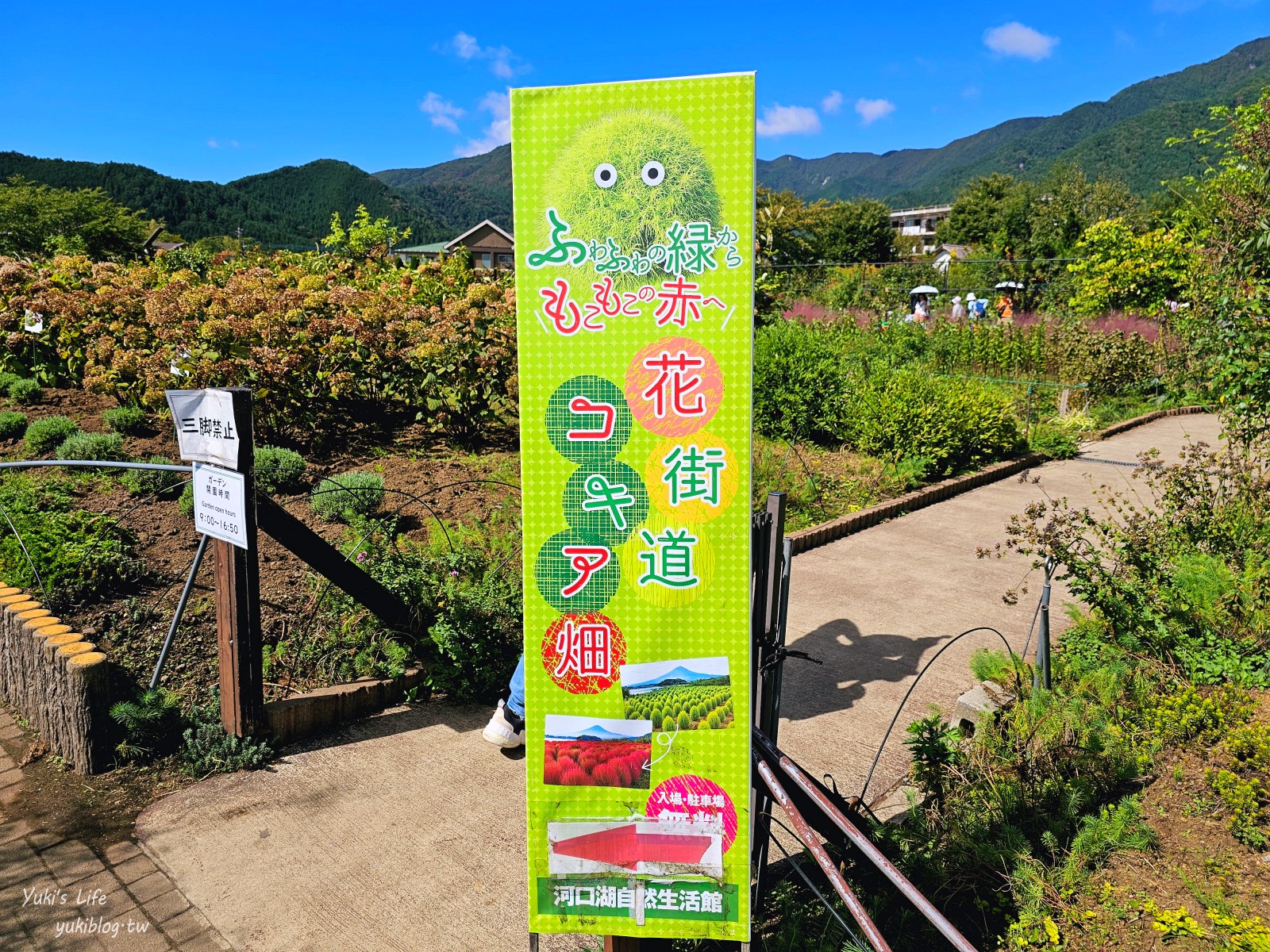 東京親子遊必看！富士山一日遊超值行程，輕鬆玩遍富士山周邊這樣超划算！ - yuki.tw