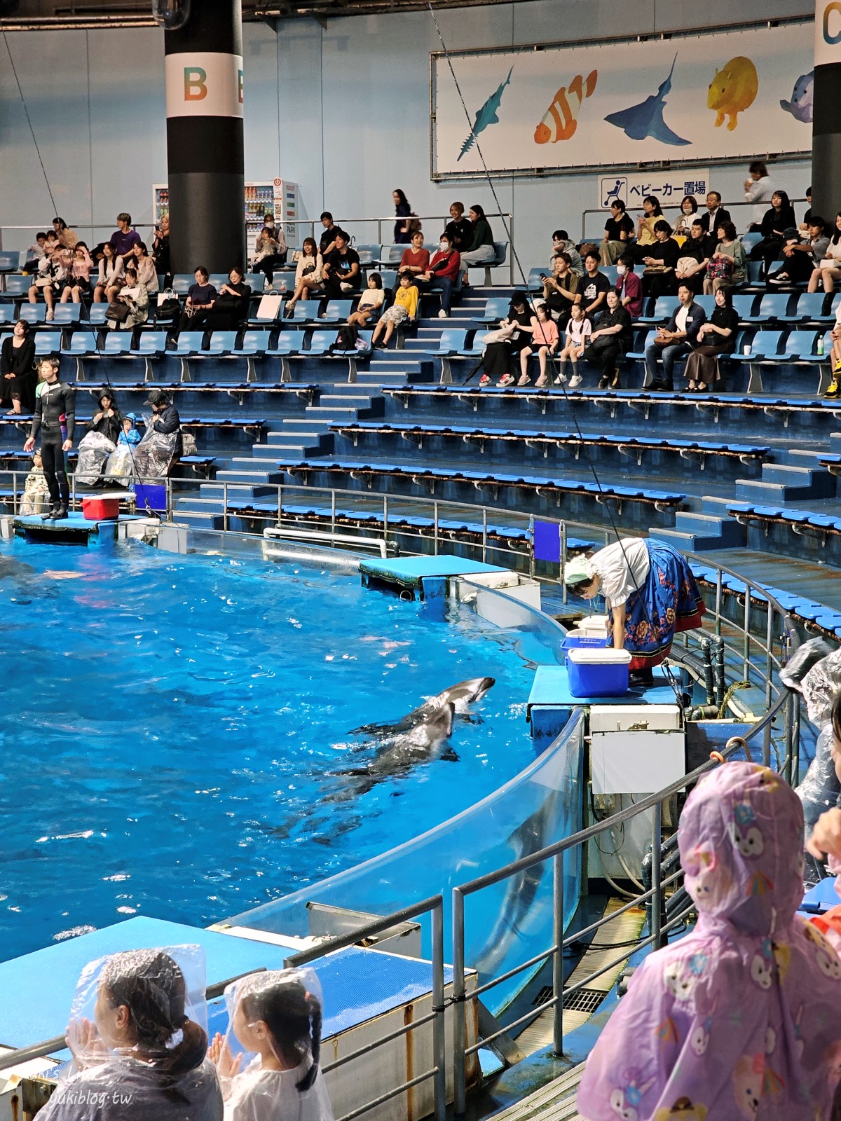 東京室內品川水族館最萌亮點「Maxell Aqua Park」海豚表演時間、驚喜的海洋體驗！ - yuki.tw