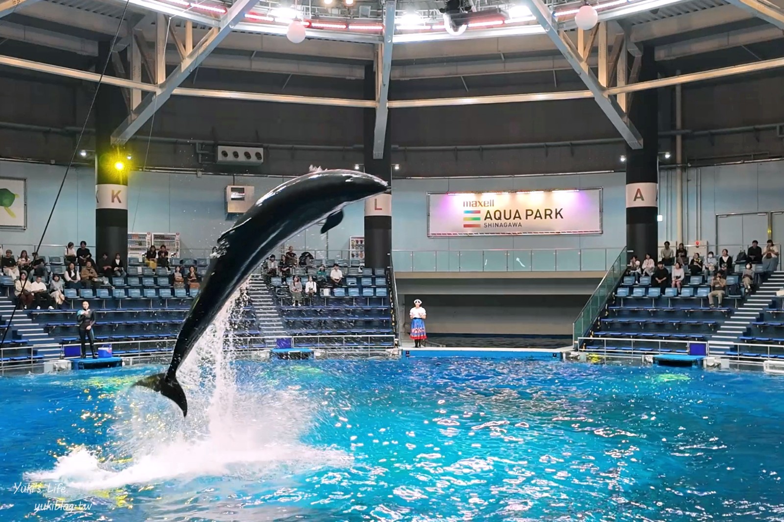 東京室內品川水族館最萌亮點「Maxell Aqua Park」海豚表演時間、驚喜的海洋體驗！ - yuki.tw