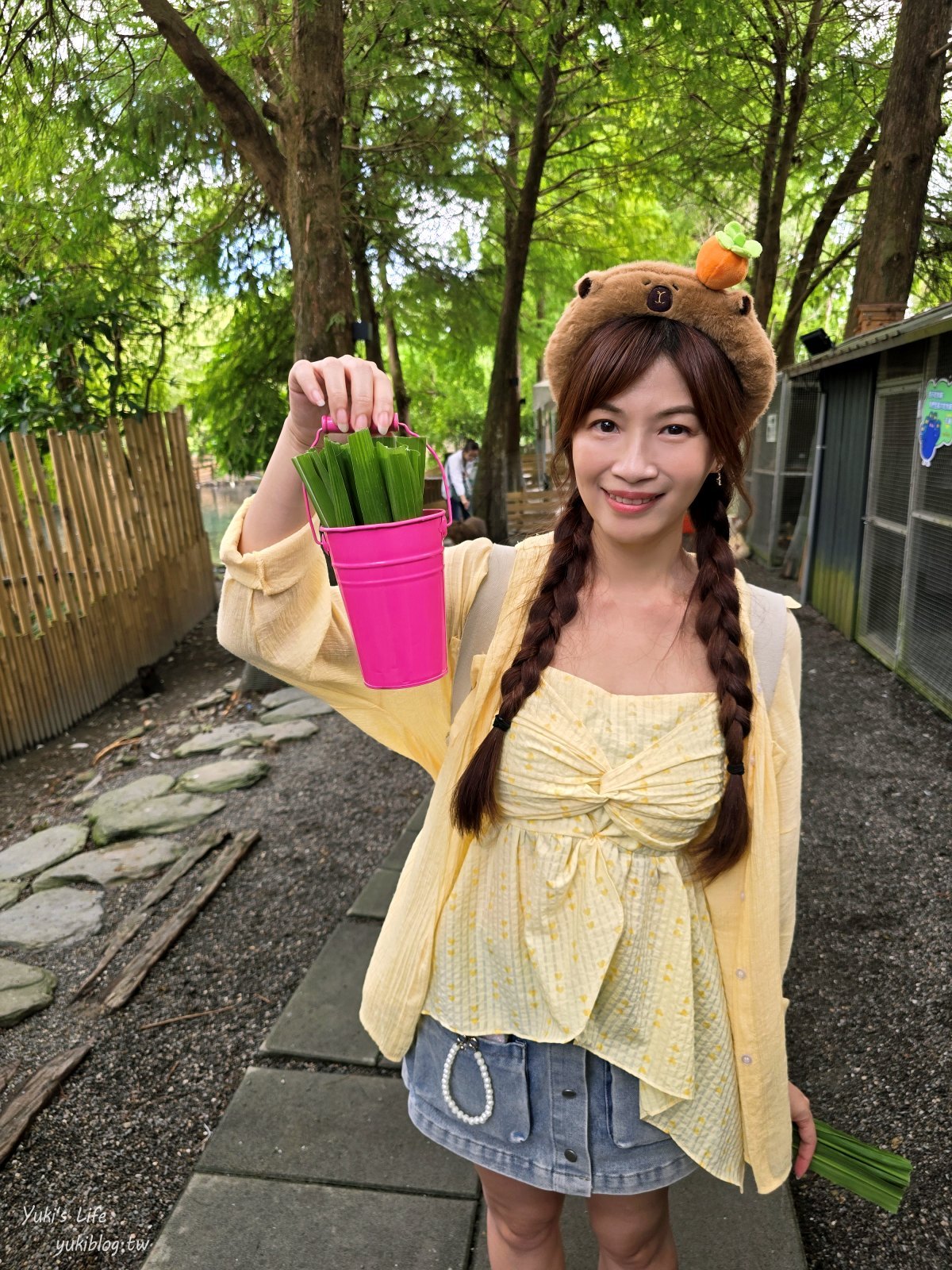 宜蘭親子景點【水岸-森林物語可愛動物園區】摸水豚抱笑笑羊好療癒！多達20種可愛動物~ - yuki.tw