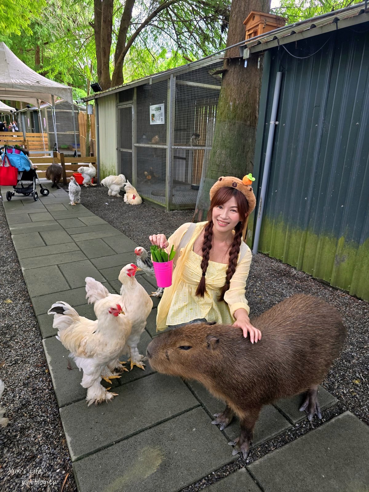 宜蘭親子景點【水岸-森林物語可愛動物園區】摸水豚抱笑笑羊好療癒！多達20種可愛動物~ - yuki.tw