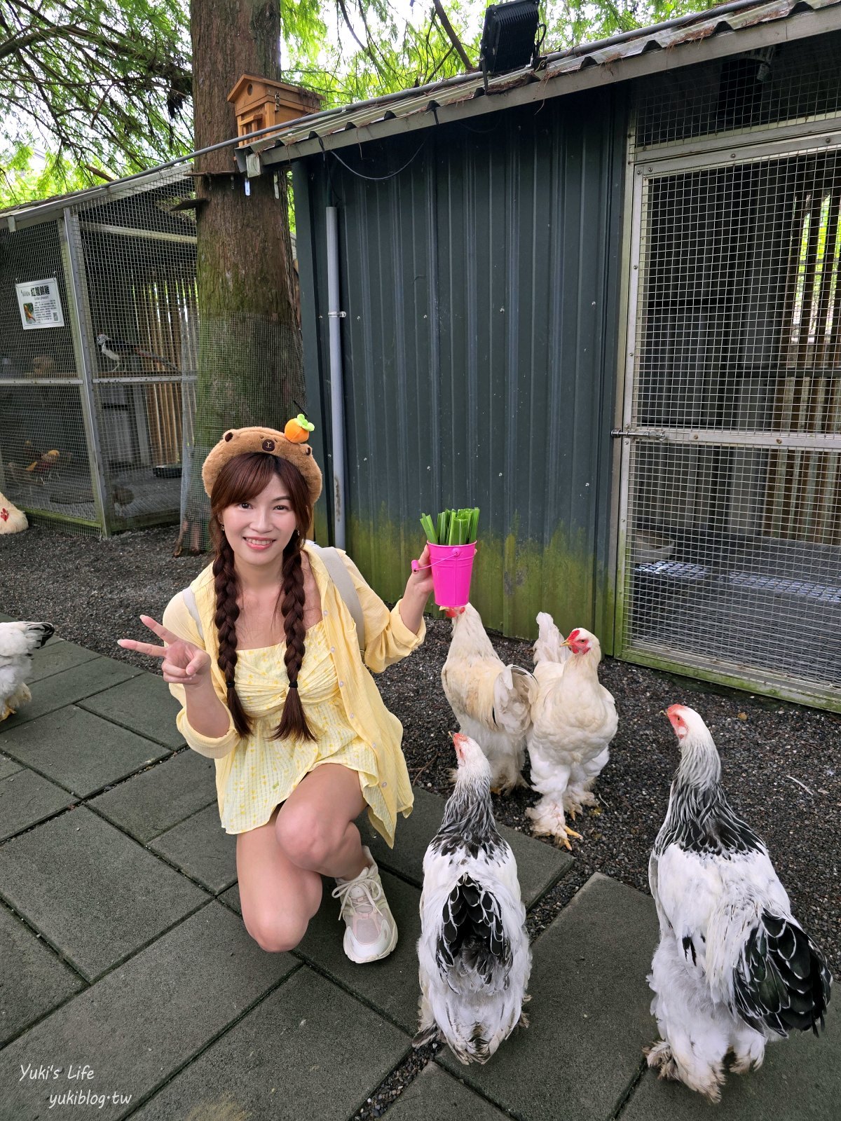 宜蘭親子景點【水岸-森林物語可愛動物園區】摸水豚抱笑笑羊好療癒！多達20種可愛動物~ - yuki.tw