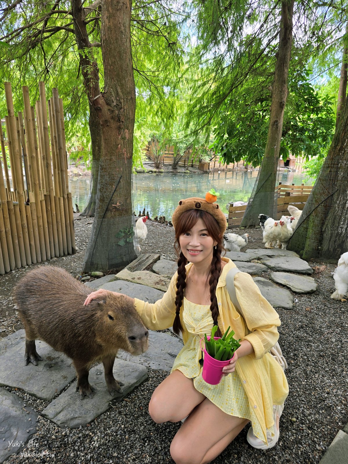 宜蘭親子景點【水岸-森林物語可愛動物園區】摸水豚抱笑笑羊好療癒！多達20種可愛動物~ - yuki.tw