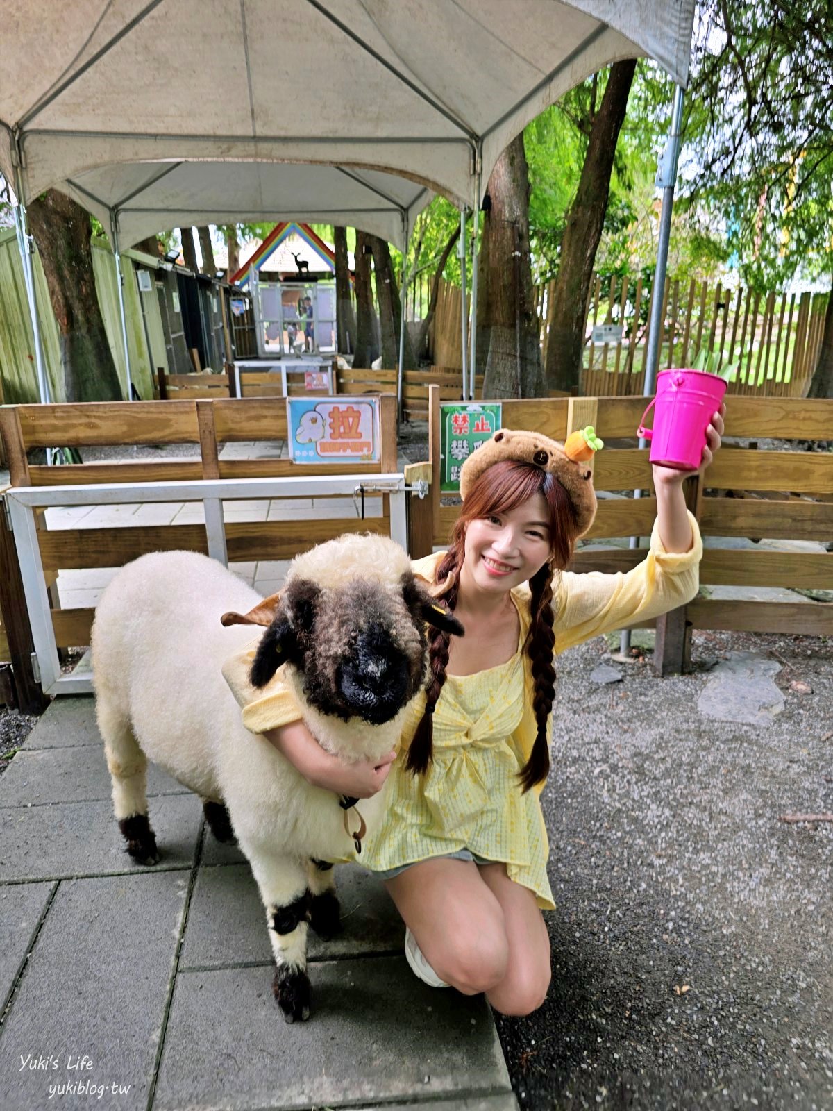 宜蘭親子景點【水岸-森林物語可愛動物園區】摸水豚抱笑笑羊好療癒！多達20種可愛動物~ - yuki.tw