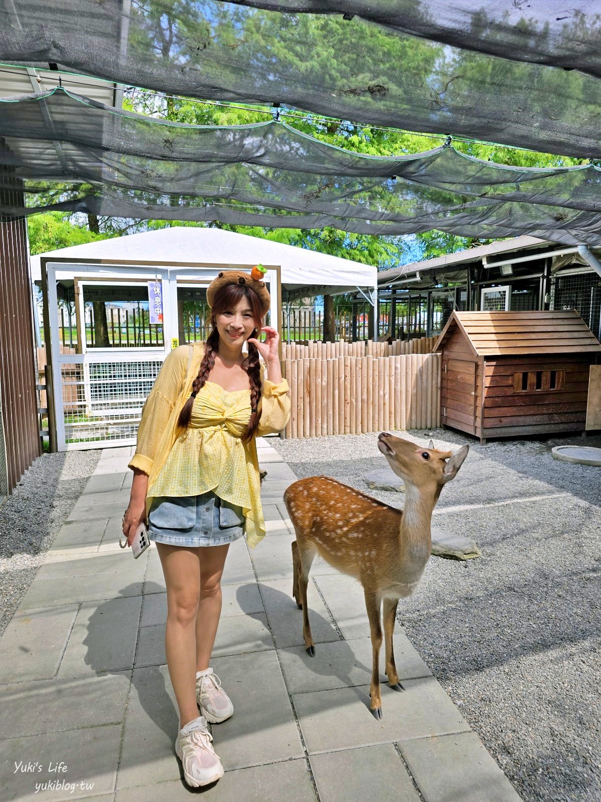 宜蘭親子景點【水岸-森林物語可愛動物園區】摸水豚抱笑笑羊好療癒！多達20種可愛動物~ - yuki.tw