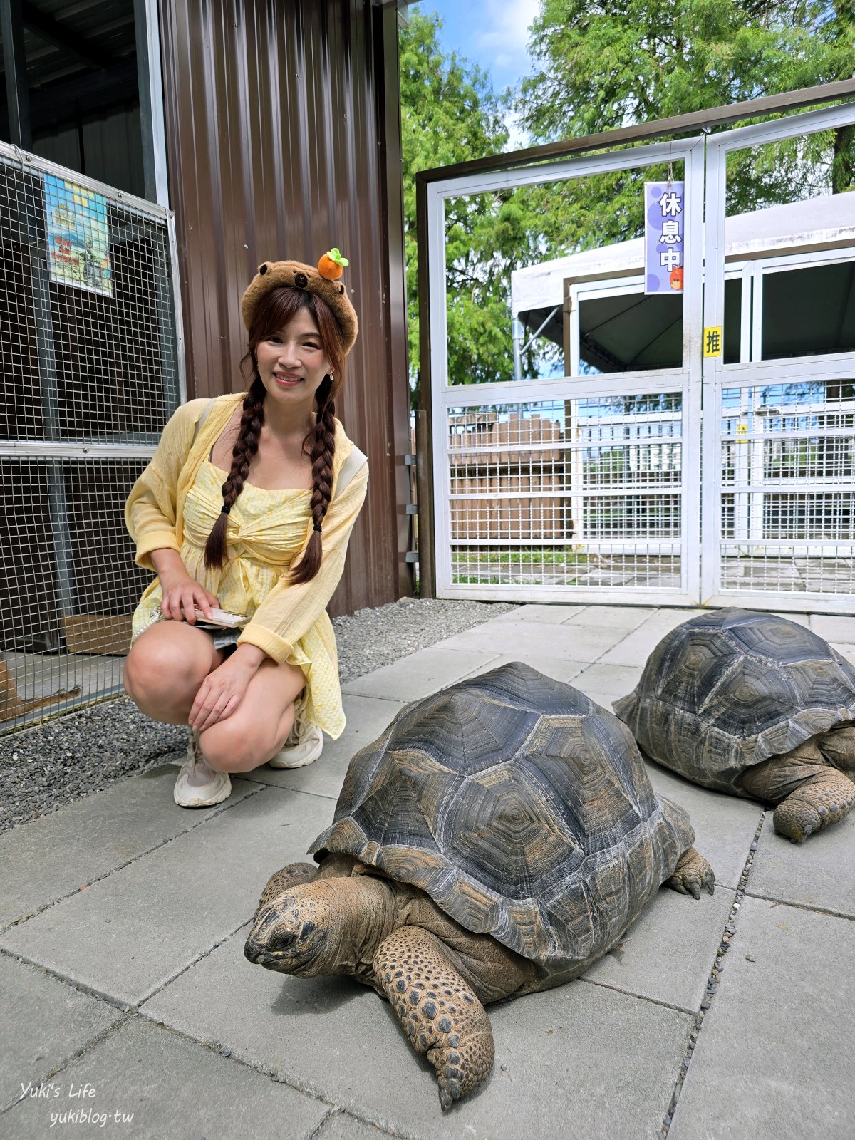 宜蘭親子景點【水岸-森林物語可愛動物園區】摸水豚抱笑笑羊好療癒！多達20種可愛動物~ - yuki.tw