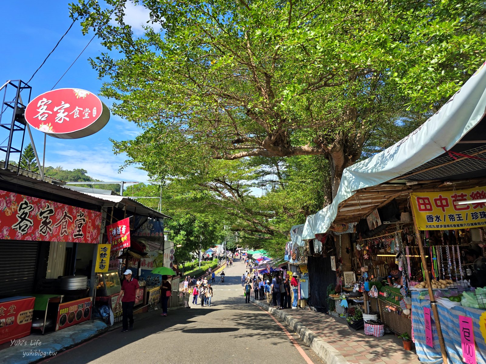 20250703201315_0_c4879c 台中大坑景點》大坑九號步道，平緩輕鬆好攻略，農夫市集一路吃吃喝喝太好玩～
