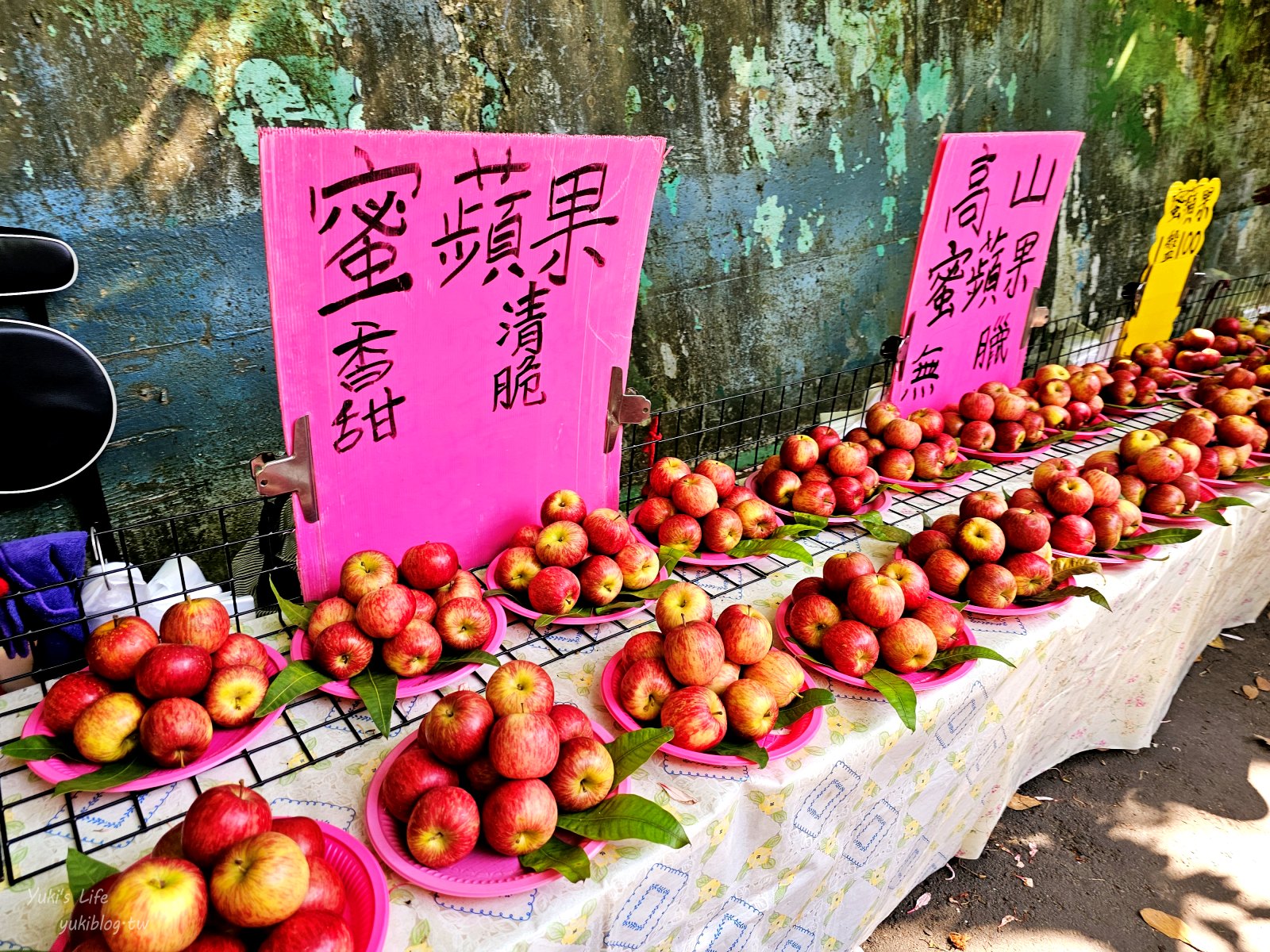 20250703201316_0_a94e32 台中大坑景點》大坑九號步道，平緩輕鬆好攻略，農夫市集一路吃吃喝喝太好玩～