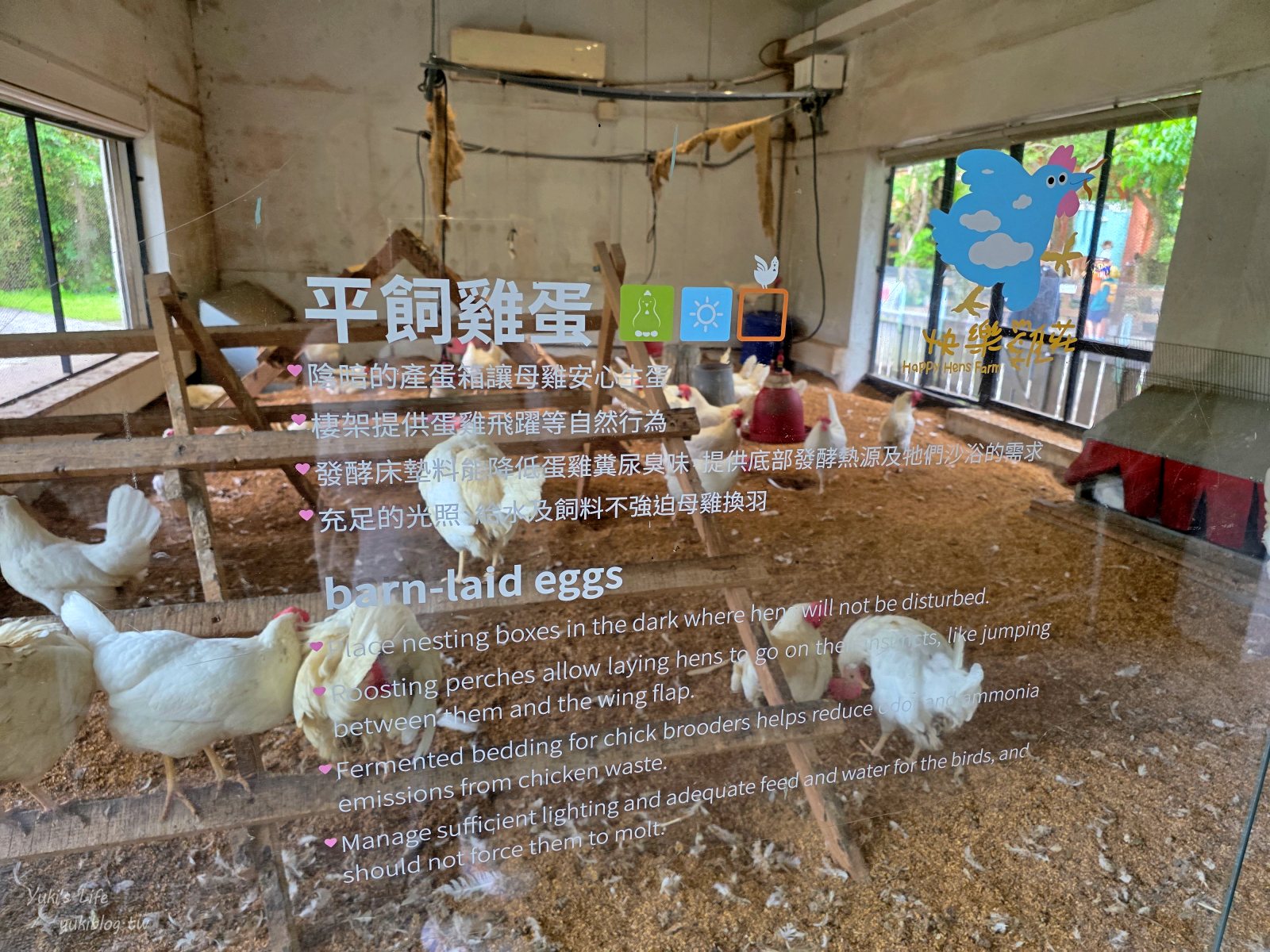 20250606133607_0_b47a5d 木柵動物園┃親子一日遊┃必看展區TOP８！門票交通美食指南