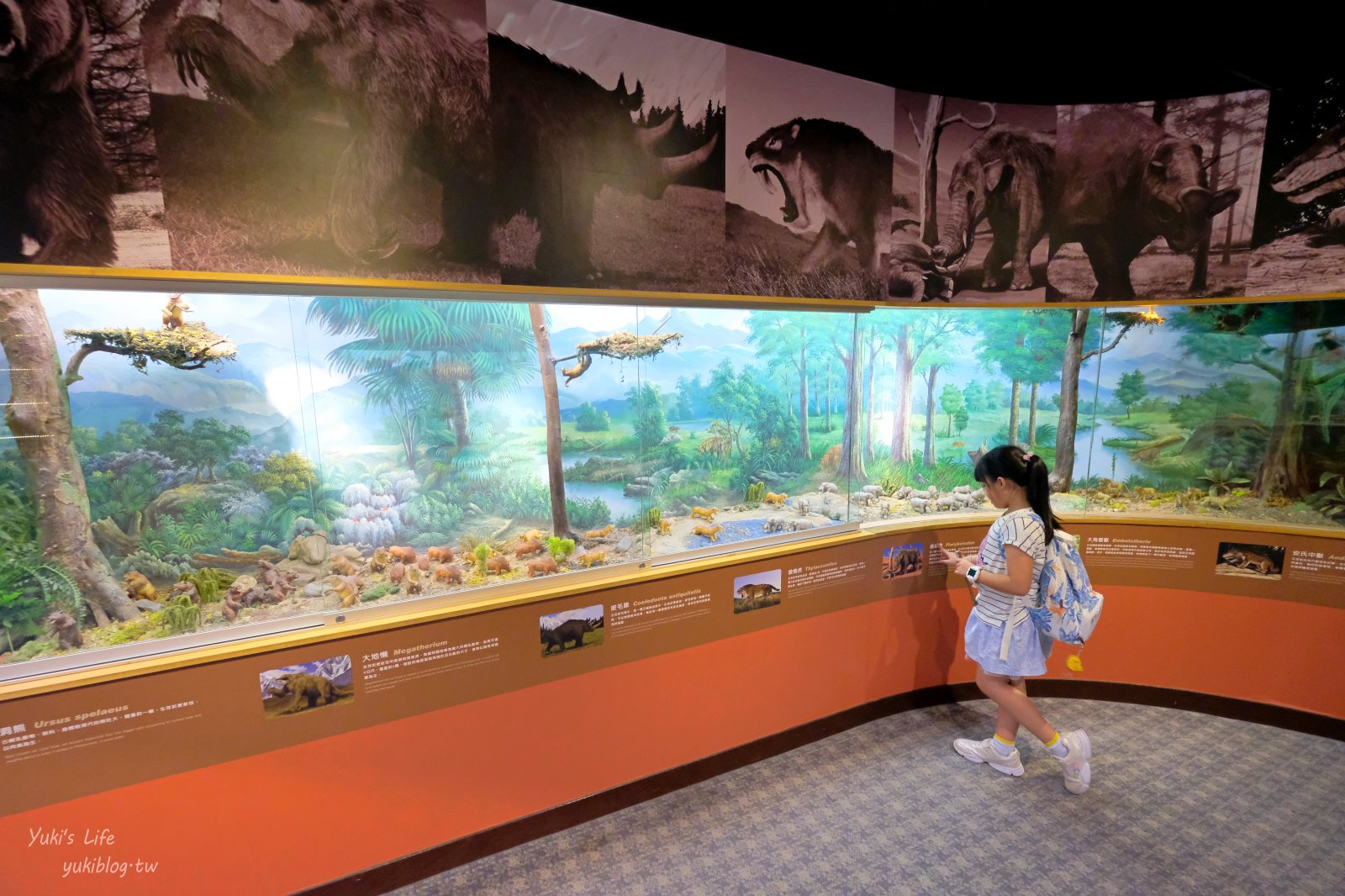 20250606133714_0_6d3f92 木柵動物園┃親子一日遊┃必看展區TOP８！門票交通美食指南