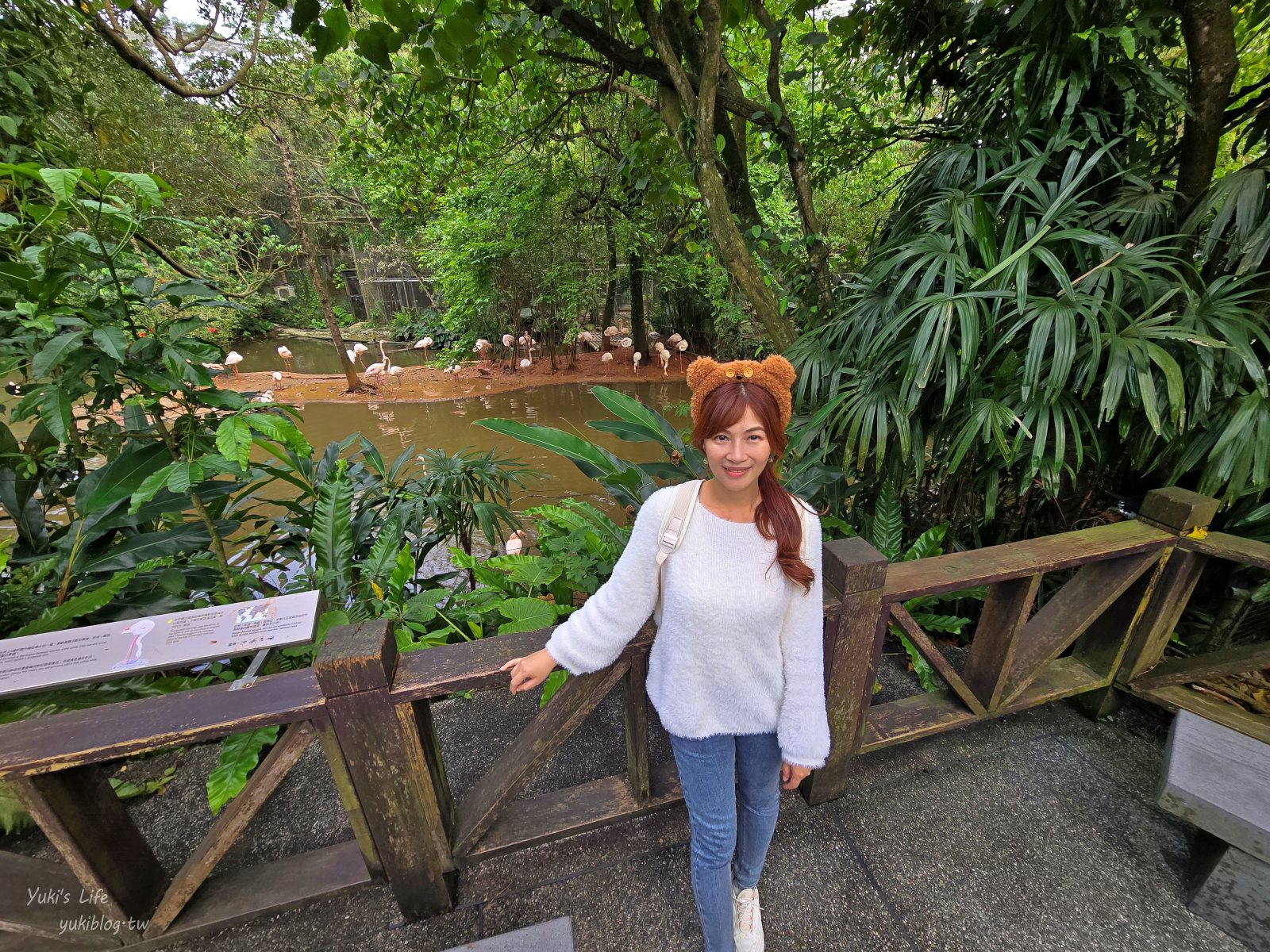 20250606133807_0_9ed911 木柵動物園┃親子一日遊┃必看展區TOP８！門票交通美食指南