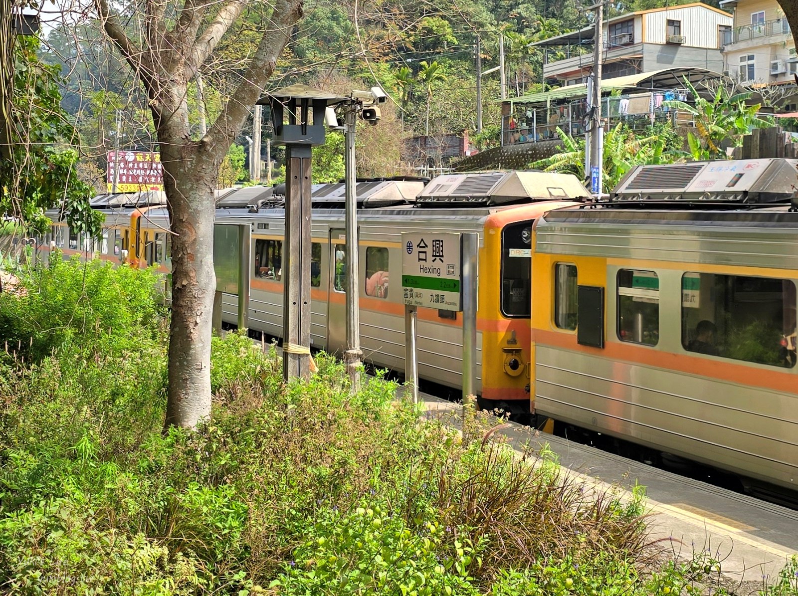 20250703212731_0_d43e9d 新竹愛情火車站！合興車站愛情森林園區～來去愛情候車室喝咖啡