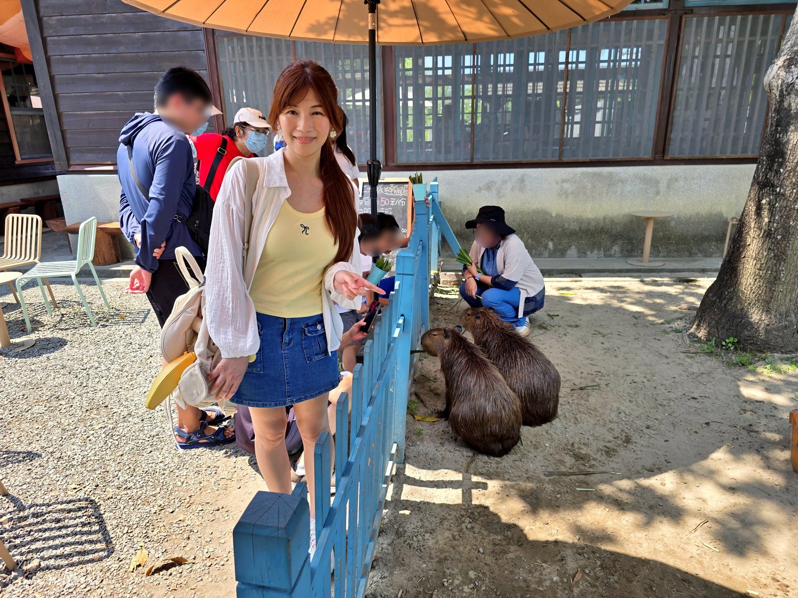 20251016221509_0_550f5b 【台南安平約會/親子必玩】安平出張所:免費逛日式老宅,超萌水豚君互動!DIY生日鹽御守禮物