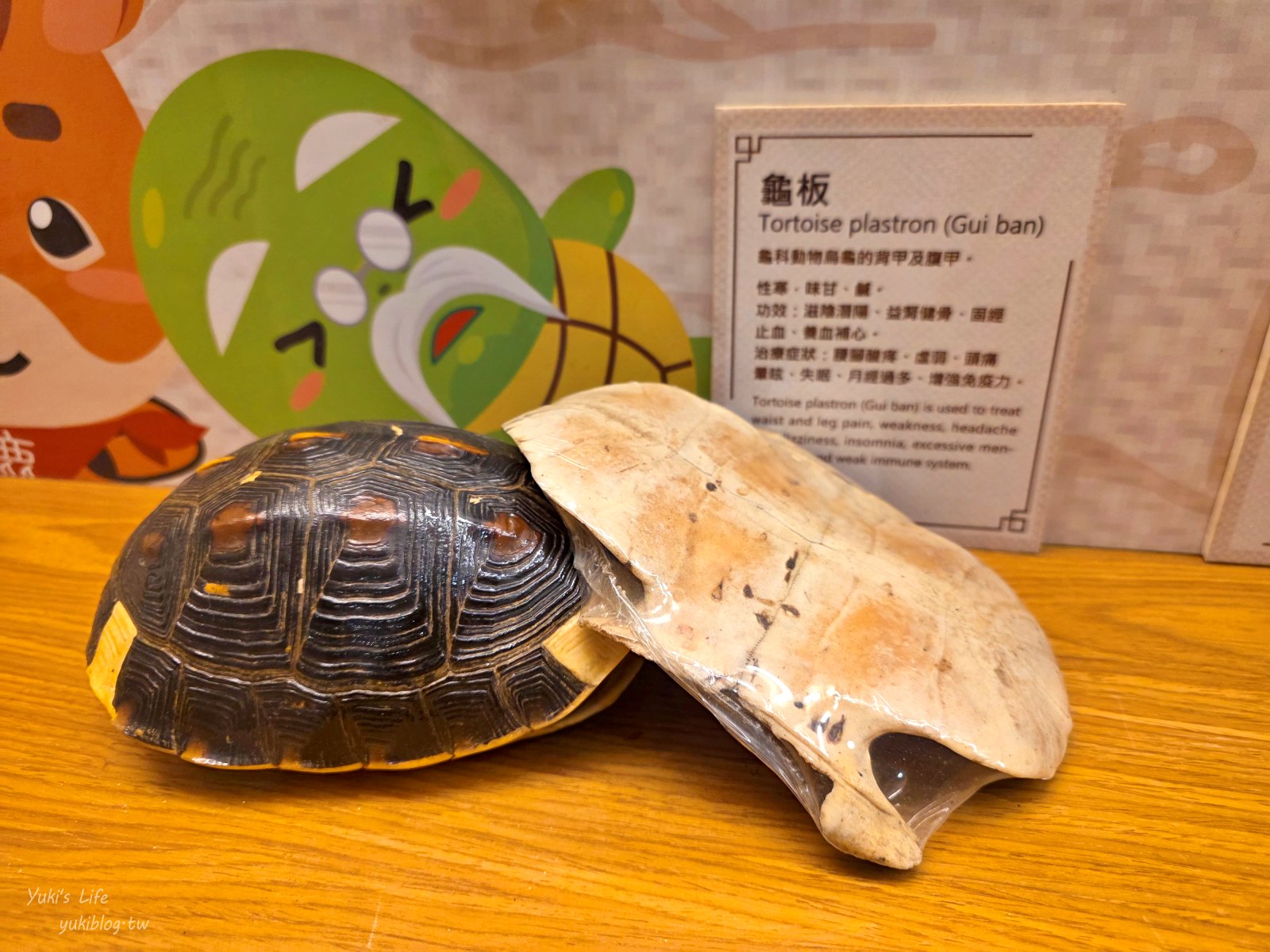 20251020155957_0_8345b3 【台南官田】天一中藥觀光工廠:免門票吹冷氣,知識型親子好去處