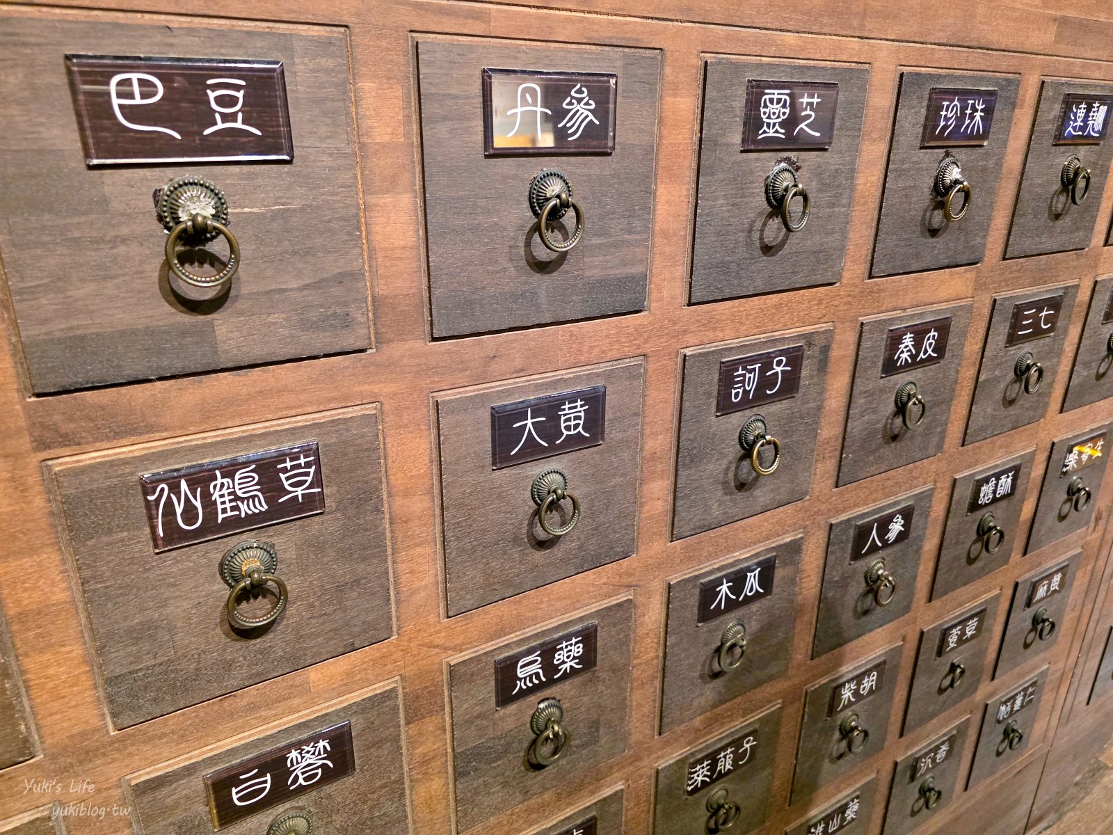 20251020160005_0_d54063 【台南官田】天一中藥觀光工廠:免門票吹冷氣,知識型親子好去處