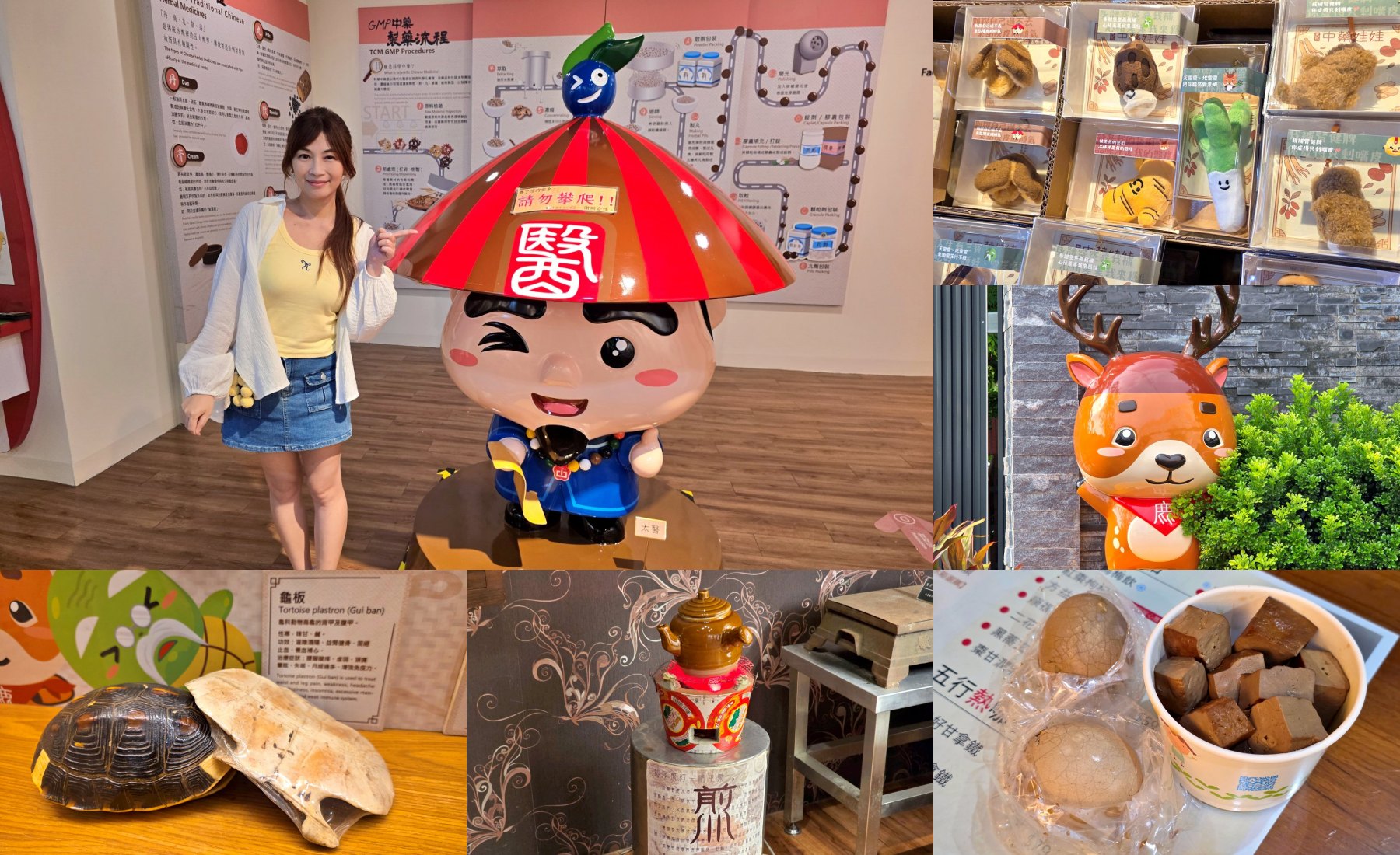 20251020164201_0_1252c8 【台南官田】天一中藥觀光工廠:免門票吹冷氣,知識型親子好去處