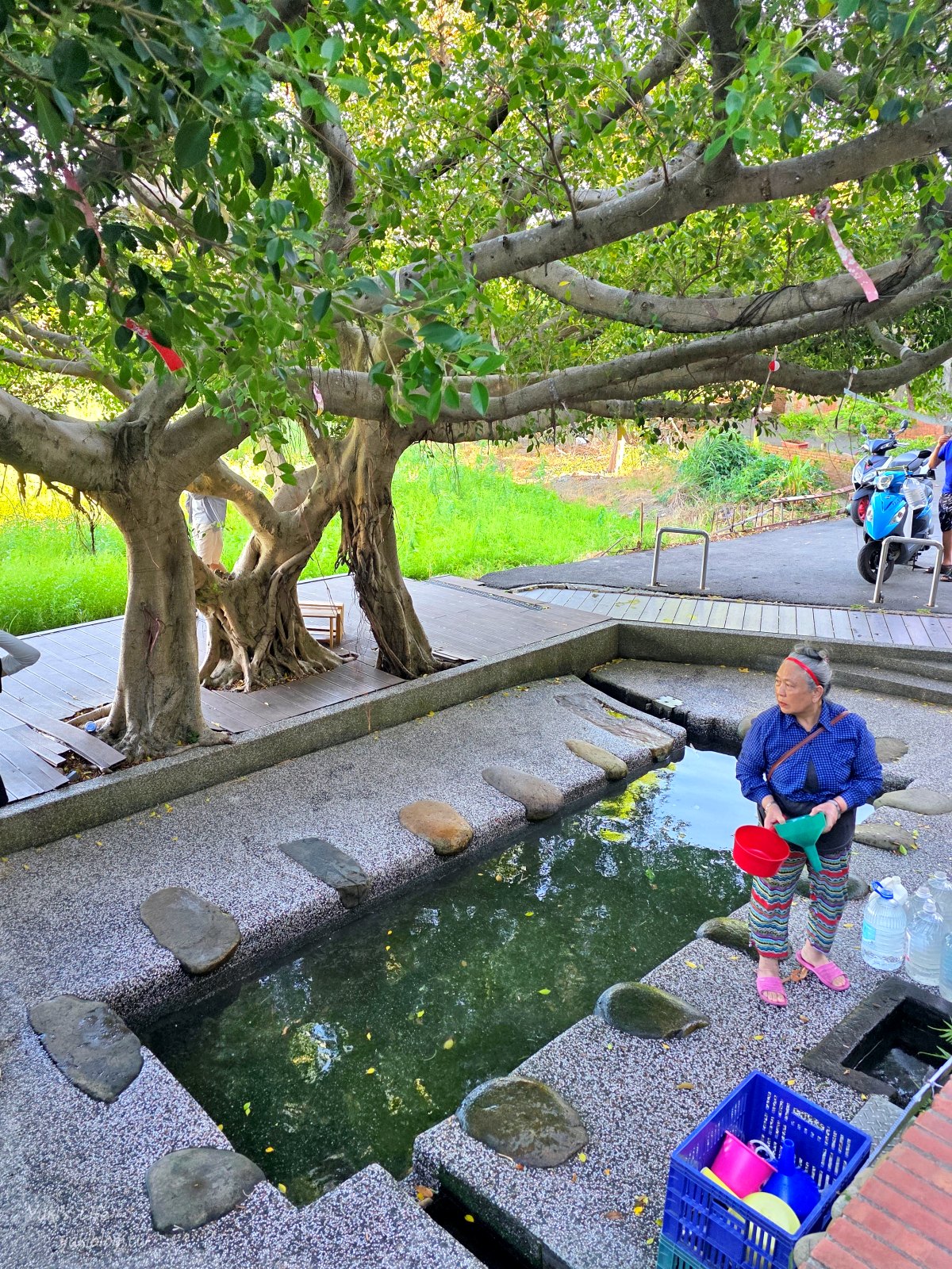 20251023121053_0_aab8b6 【桃園八德秘境】霄裡一日遊:百年客庄尋寶!霄裡大池、湧泉浣衣池、客家辦桌,高CP值必玩行程!