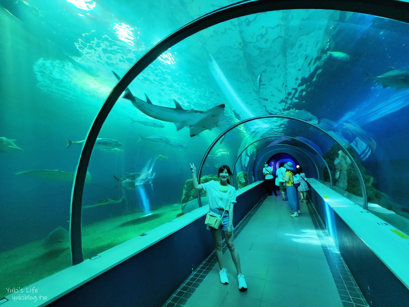 20251027142717_0_cf4564 澎湖自由行最方便攻略！馬公市區、西嶼、湖西、白沙景點美食(分區總整理)