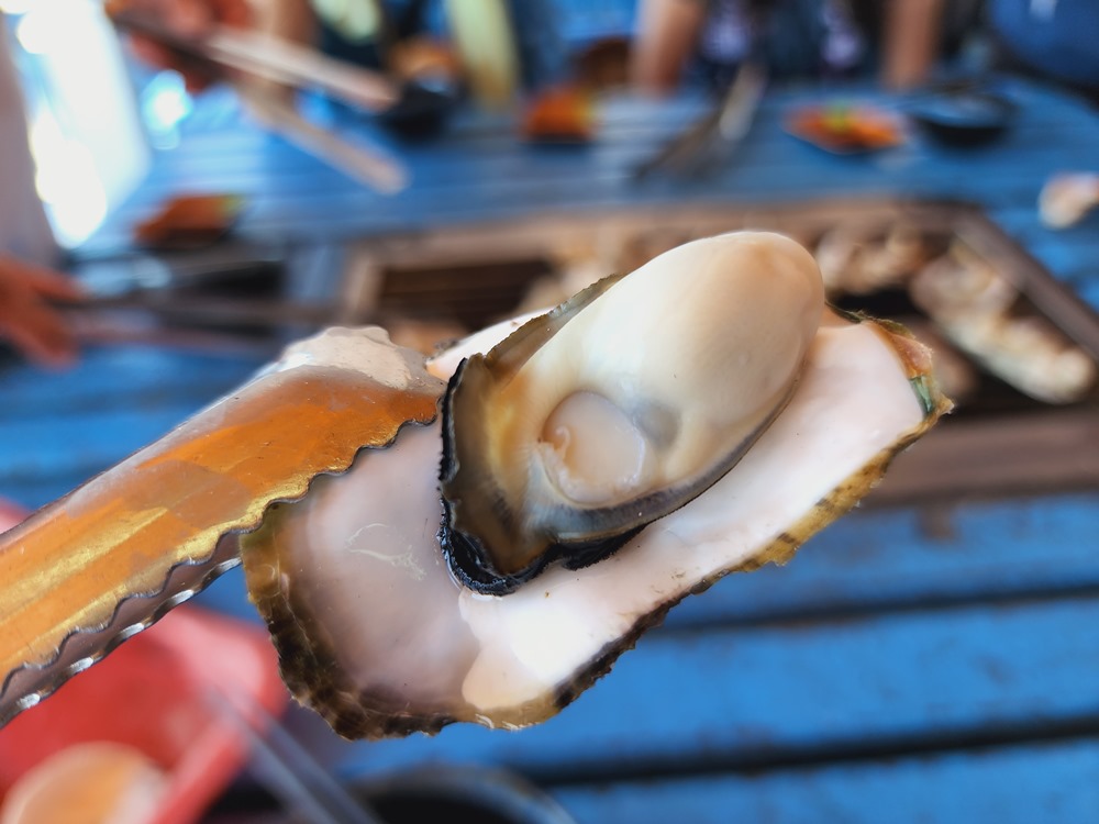 20251030135234_0_f33829 澎湖自由行最方便攻略！馬公市區、西嶼、湖西、白沙景點美食(分區總整理)