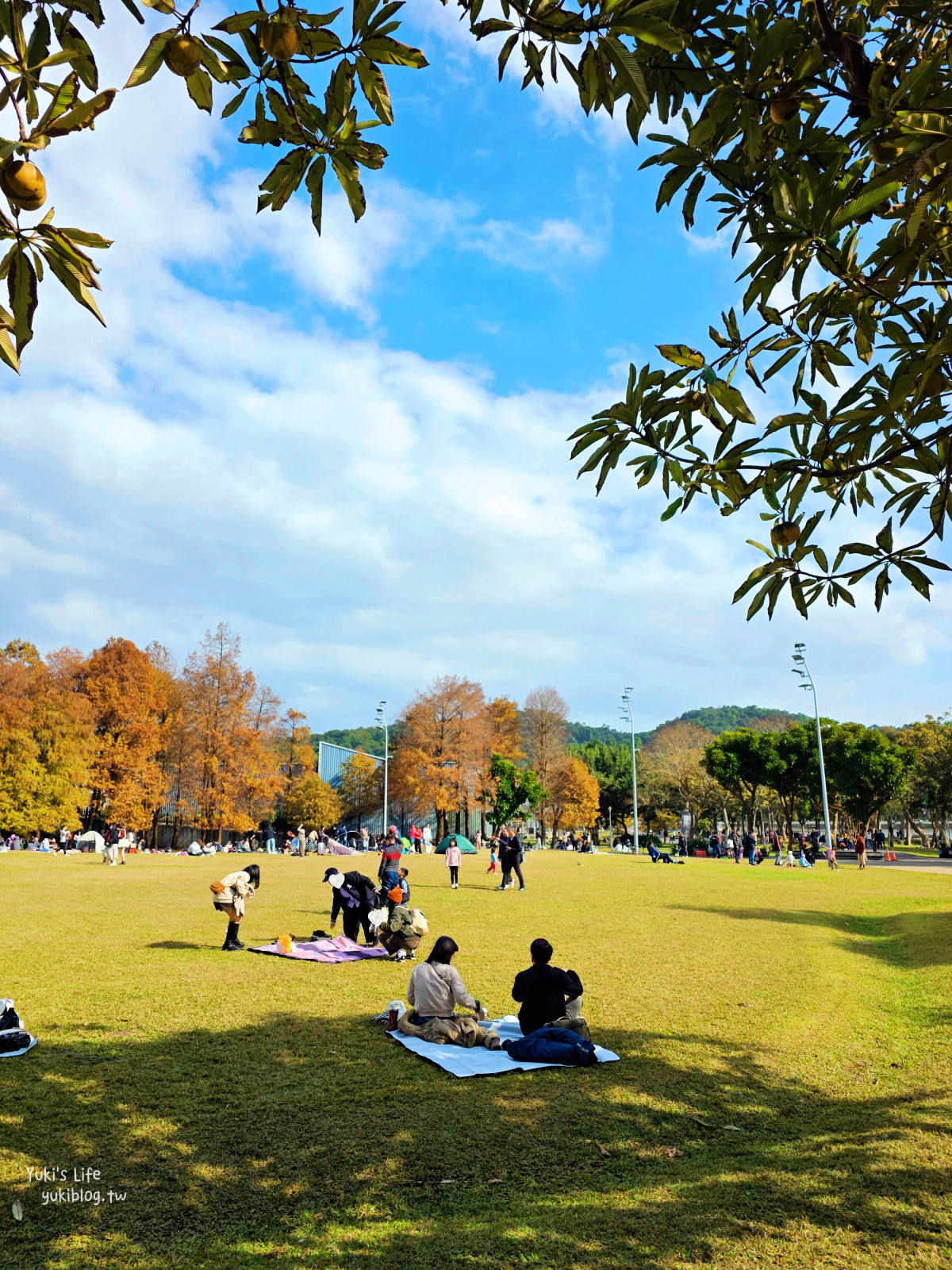 20260114095639_0_4e0c6a 【台北內湖】大湖公園 落羽松景點，捷運到站秒賞美景，免門票野餐放電超Chill！