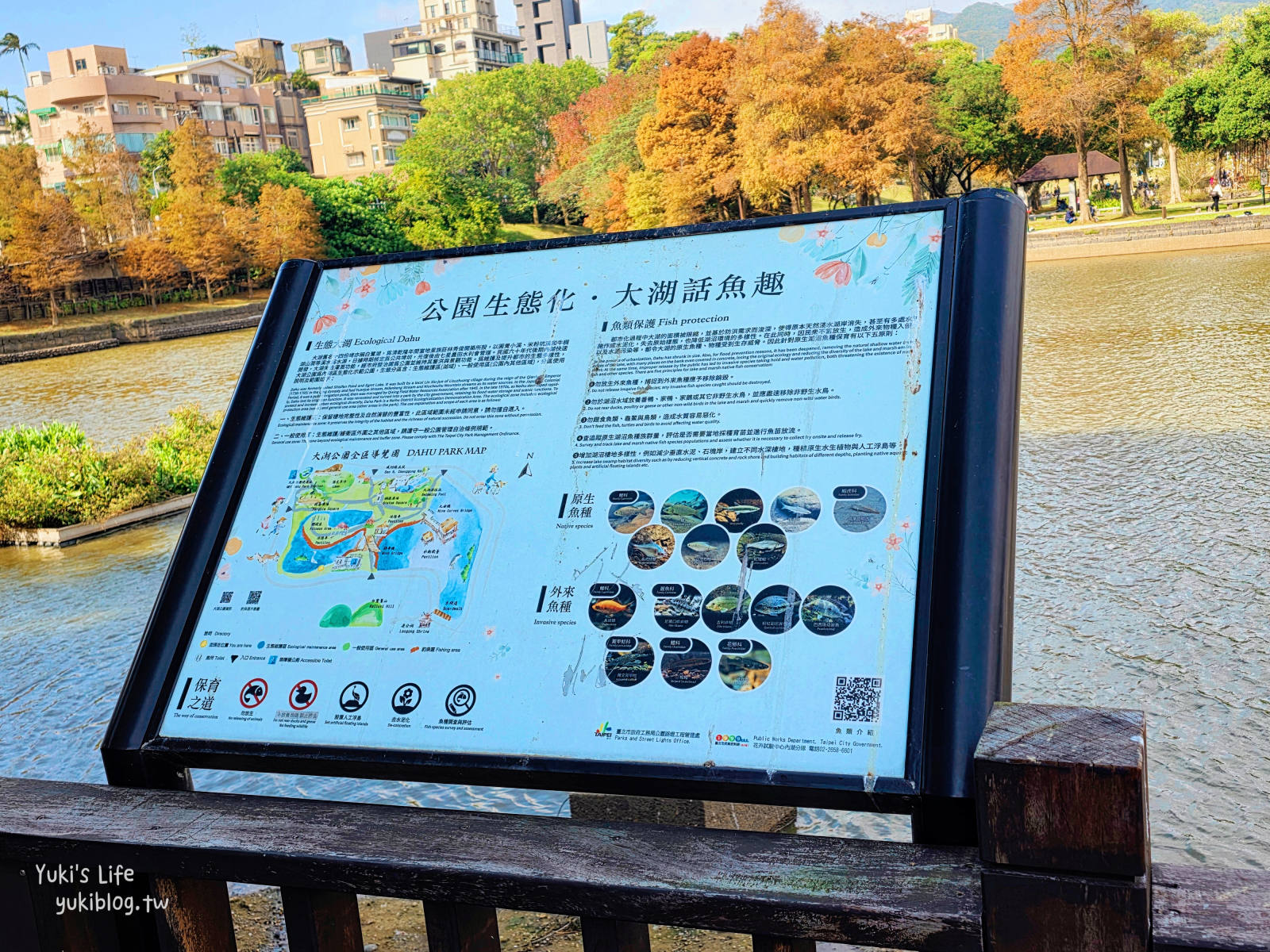 20260114095656_0_e6d308 【台北內湖】大湖公園 落羽松景點，捷運到站秒賞美景，免門票野餐放電超Chill！