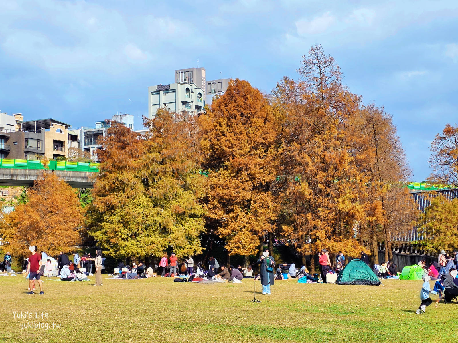 20260114095701_0_0ac711 【台北內湖】大湖公園 落羽松景點，捷運到站秒賞美景，免門票野餐放電超Chill！