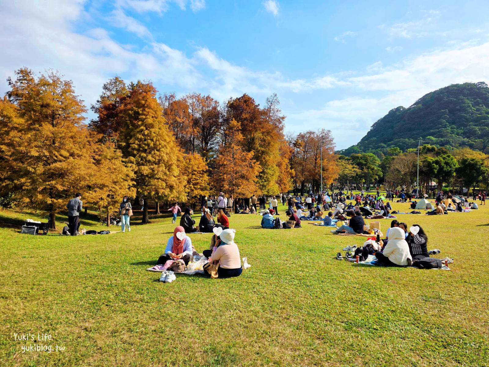 20260114095718_0_c8cca2 【台北內湖】大湖公園 落羽松景點，捷運到站秒賞美景，免門票野餐放電超Chill！