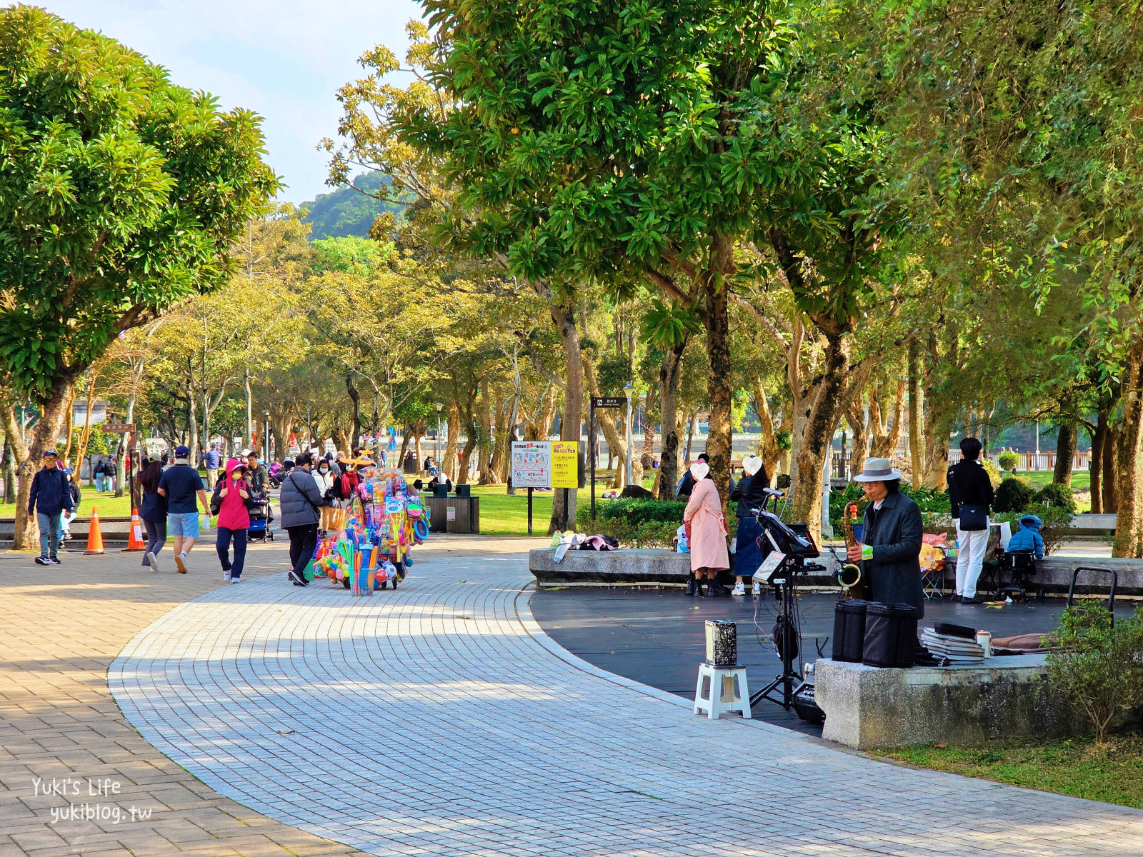 20260114095740_0_14b0b7 【台北內湖】大湖公園 落羽松景點，捷運到站秒賞美景，免門票野餐放電超Chill！