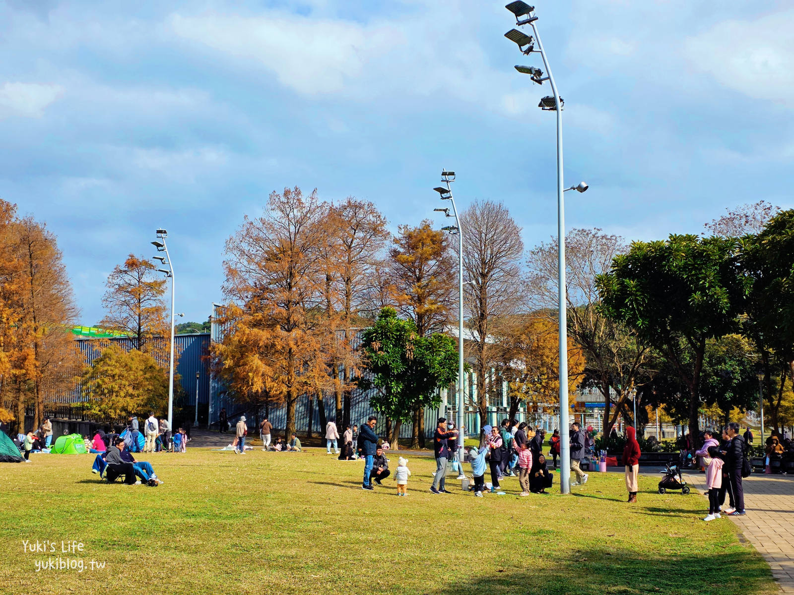 20260114095742_0_590713 【台北內湖】大湖公園 落羽松景點，捷運到站秒賞美景，免門票野餐放電超Chill！