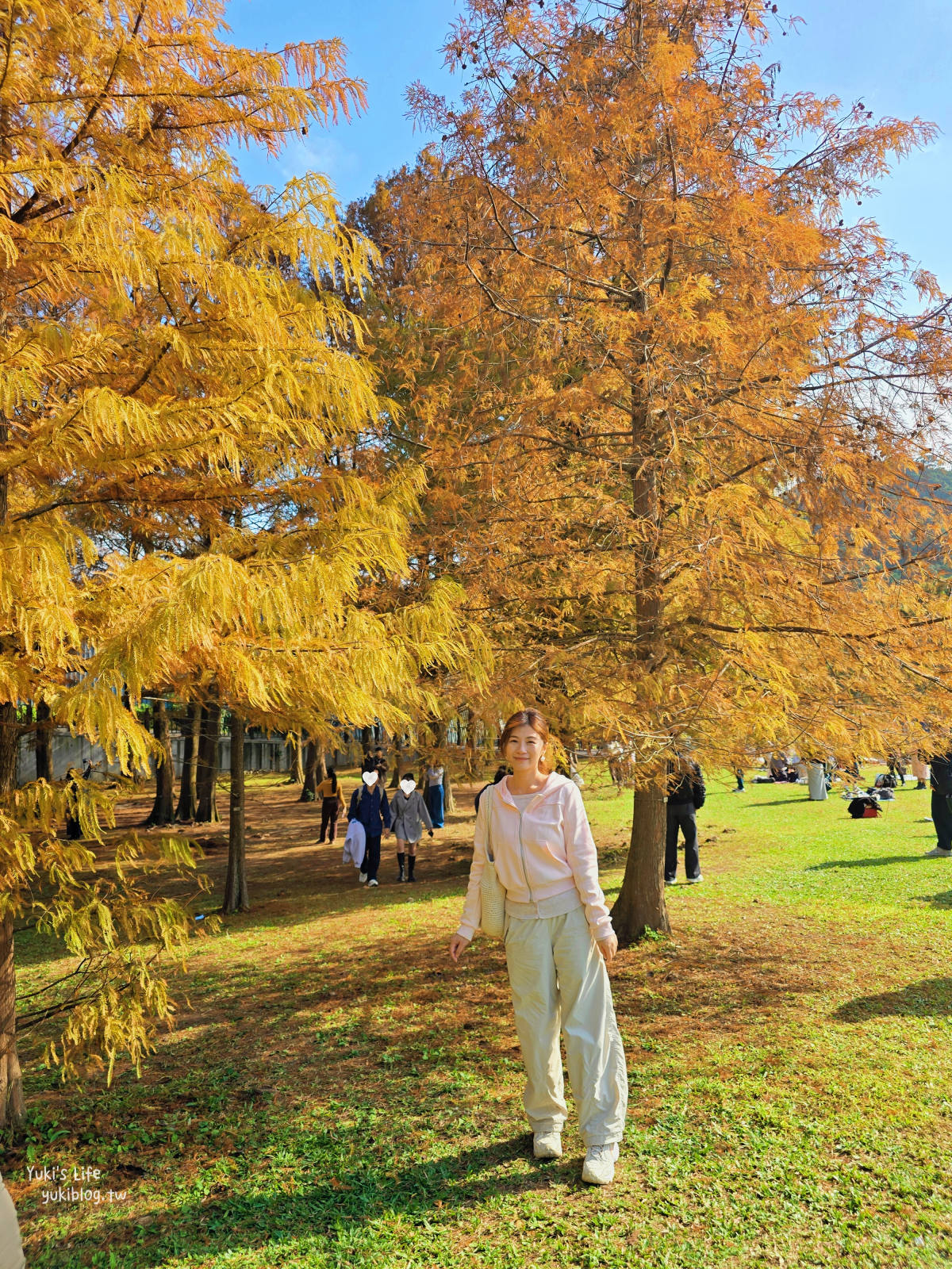 20260114095748_0_c555a4 【台北內湖】大湖公園 落羽松景點，捷運到站秒賞美景，免門票野餐放電超Chill！