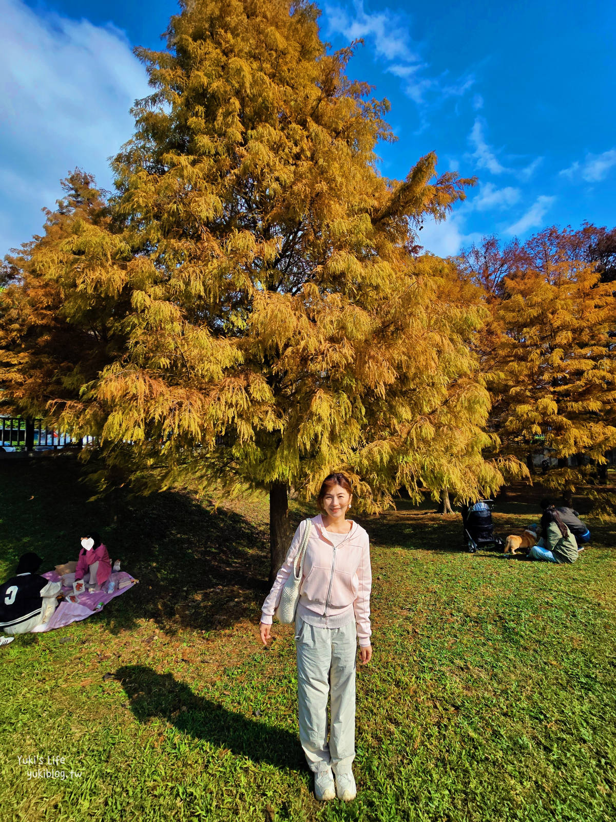 20260114095753_0_1e6bdc 【台北內湖】大湖公園 落羽松景點，捷運到站秒賞美景，免門票野餐放電超Chill！
