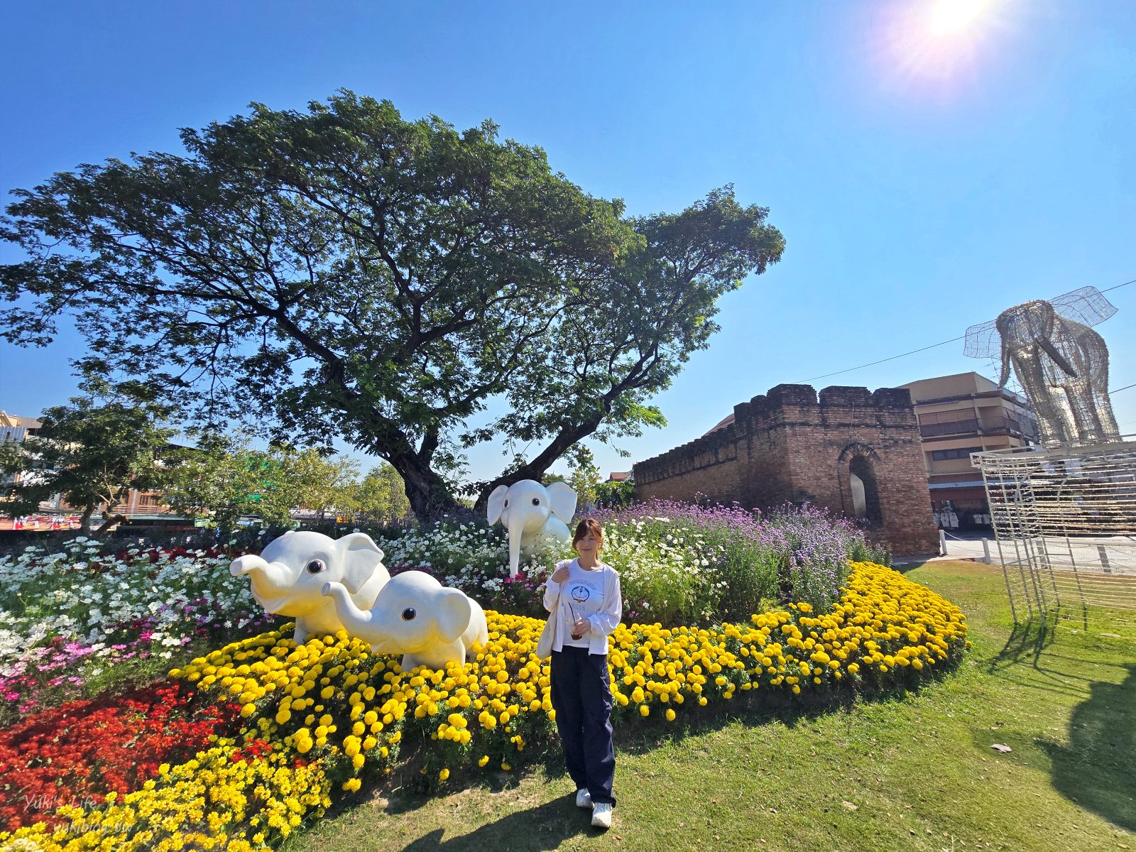 20260126174000_0_5c84e7 【清邁古城】北門夜市 Chang Phuak Market，每天都有開！美食控超愛鳳飛飛豬腳飯、泰式炒壽喜燒、銷魂香蕉煎餅