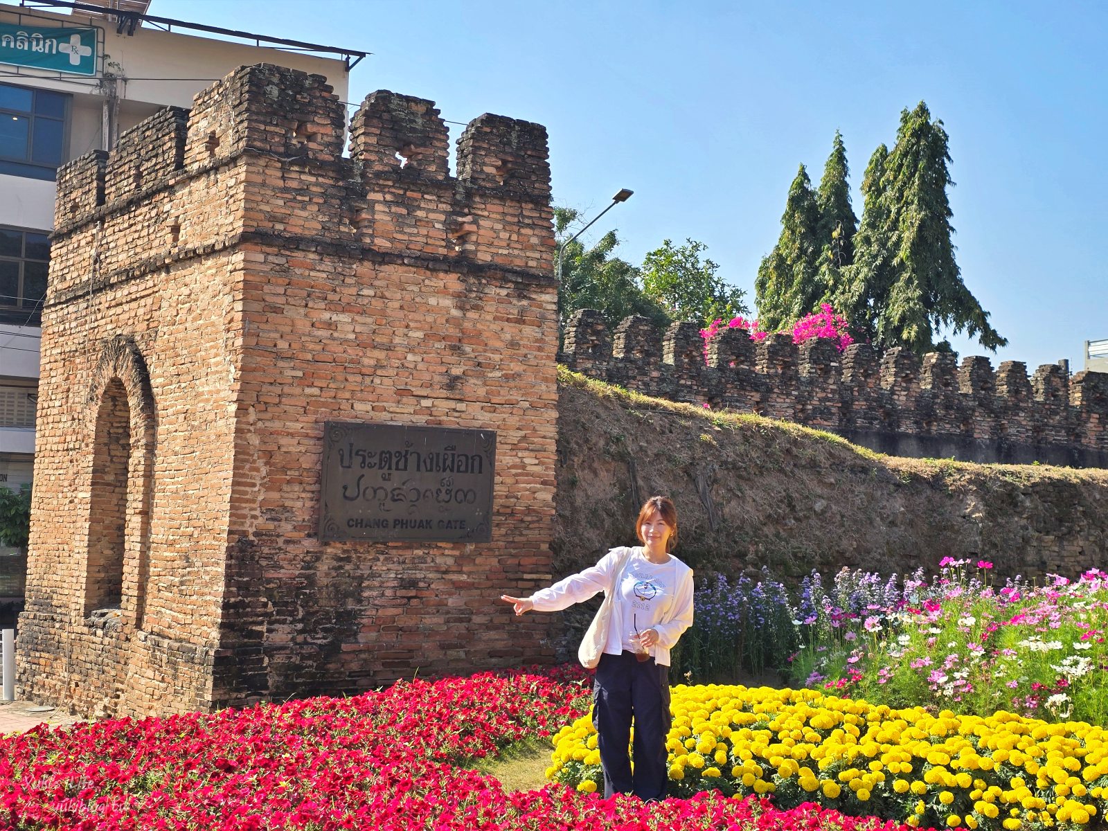 20260126174001_0_3e791a 【清邁古城】北門夜市 Chang Phuak Market，每天都有開！美食控超愛鳳飛飛豬腳飯、泰式炒壽喜燒、銷魂香蕉煎餅