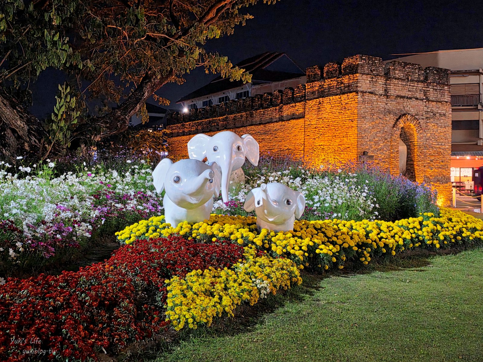 20260126174034_0_0f2381 【清邁古城】北門夜市 Chang Phuak Market，每天都有開！美食控超愛鳳飛飛豬腳飯、泰式炒壽喜燒、銷魂香蕉煎餅