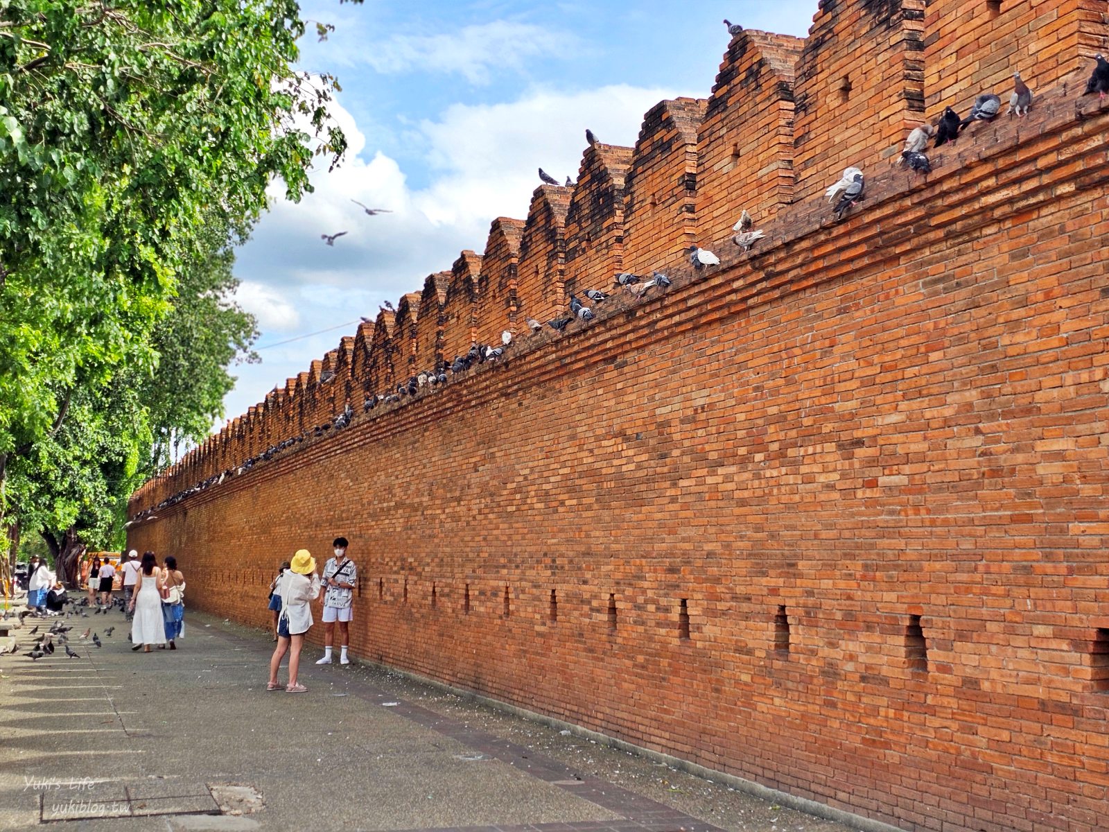 20260127172204_0_5d0216 【泰國清邁古城】塔佩門,免門票必訪景點!跟鴿子互動、古城門拍美照,順遊瓦洛洛市場