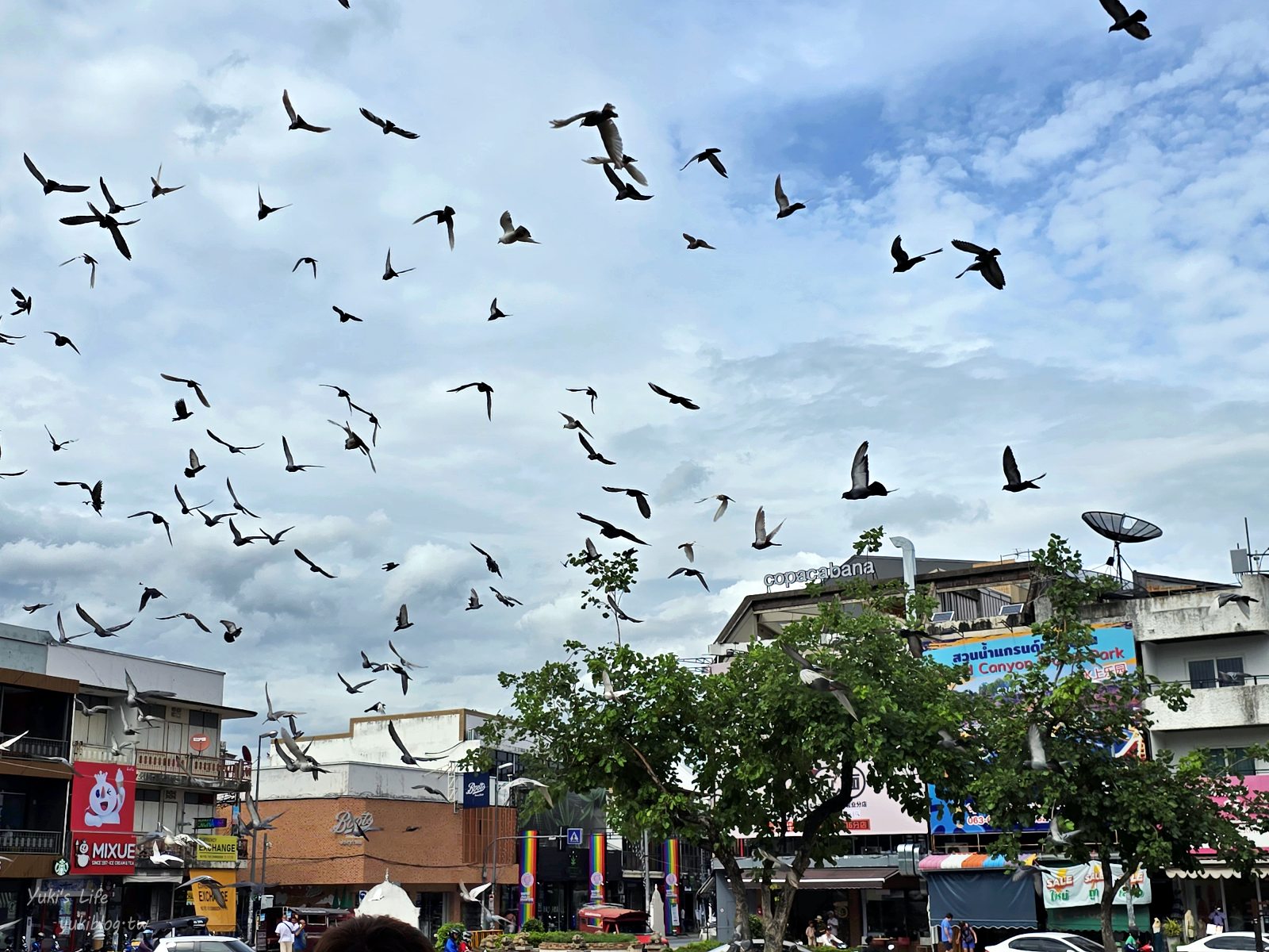 20260127172206_0_2aa833 【泰國清邁古城】塔佩門,免門票必訪景點!跟鴿子互動、古城門拍美照,順遊瓦洛洛市場