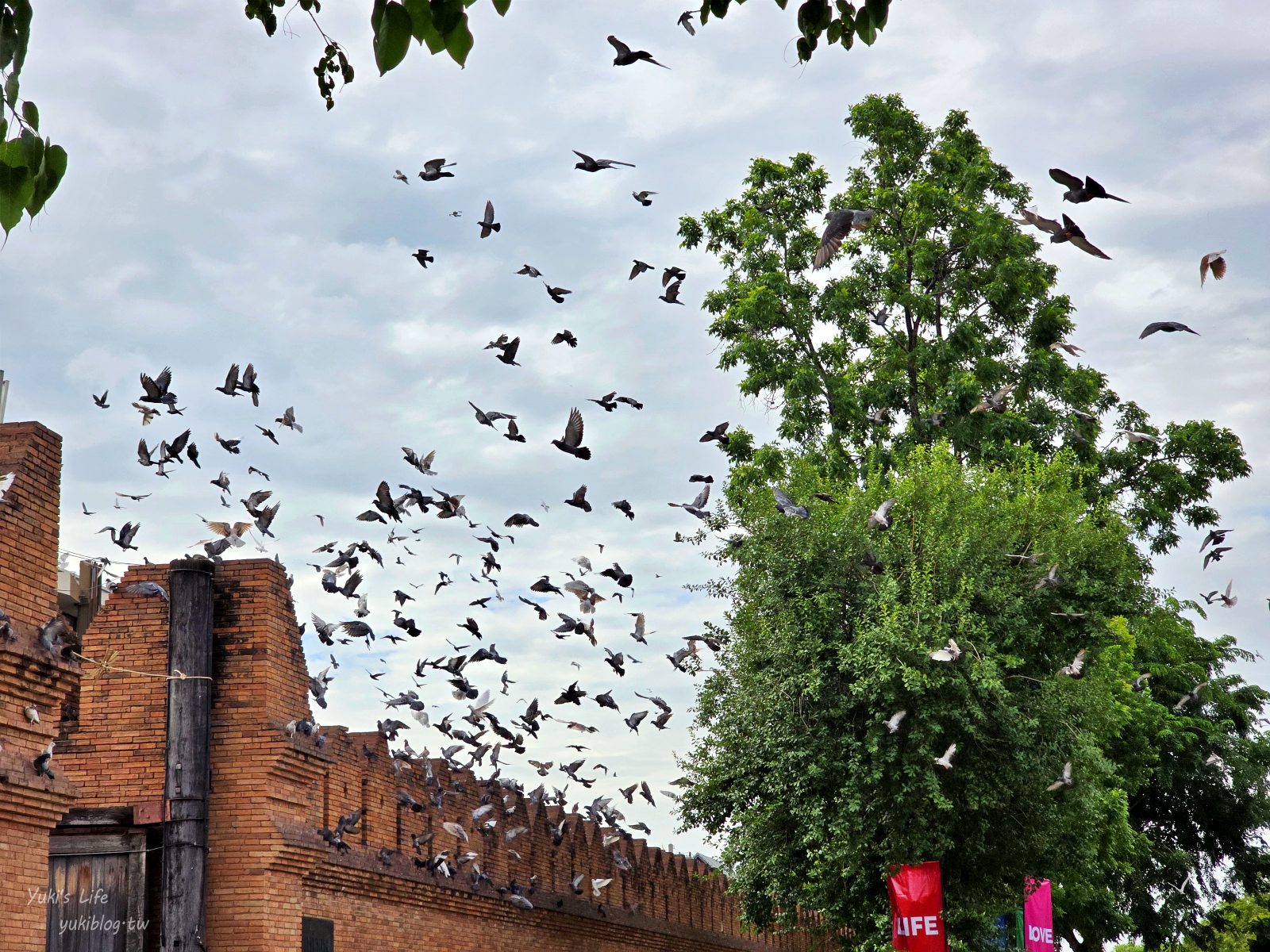 20260127172207_0_194e86 【泰國清邁古城】塔佩門,免門票必訪景點!跟鴿子互動、古城門拍美照,順遊瓦洛洛市場