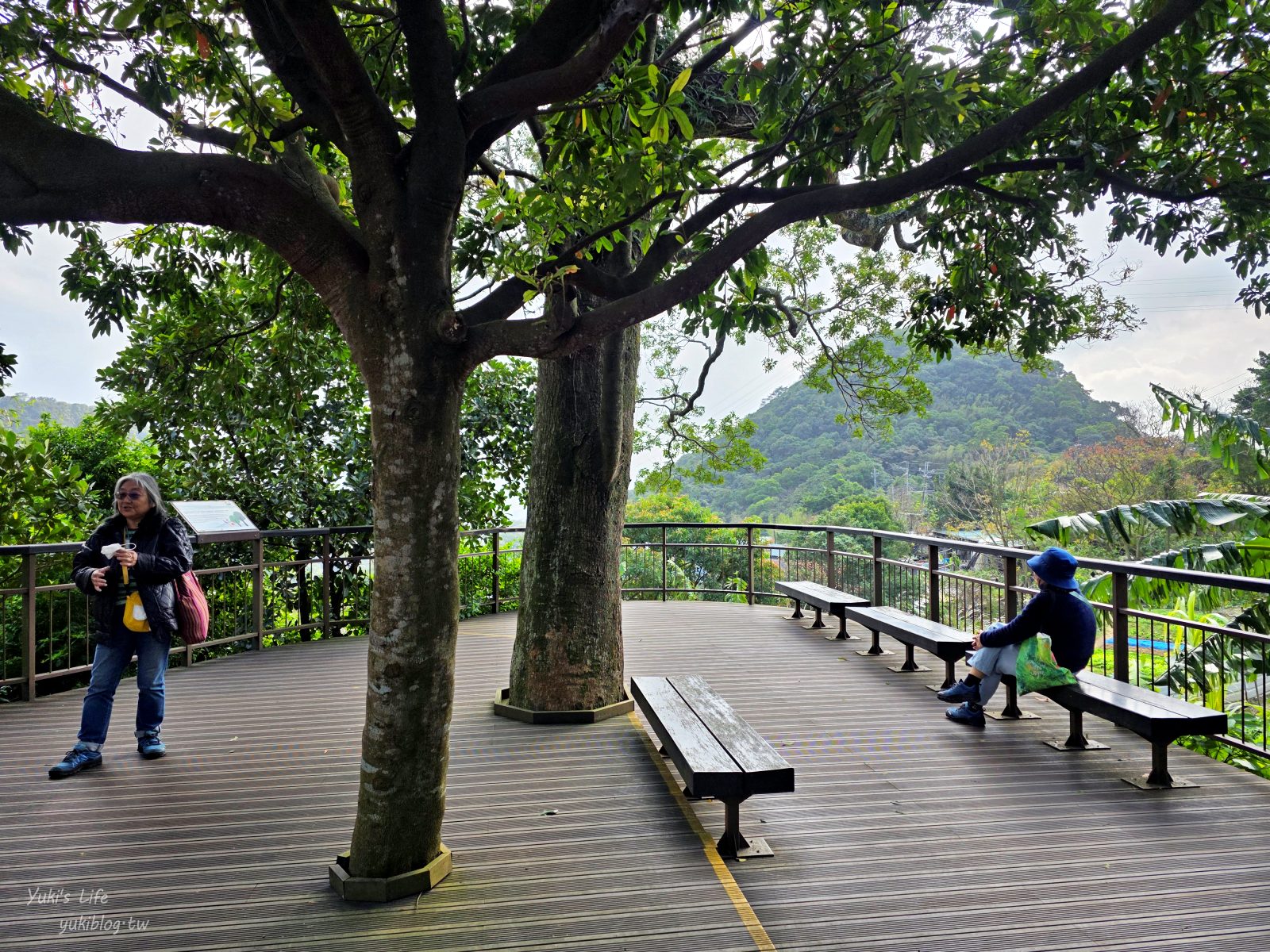 20260131161416_0_c65f9d 【內湖一日遊】紫色吊橋吃豆花草莓pizza、隱藏咖啡廳賞101，免門票落羽松景點野餐超chill！情侶約會、親子放電！