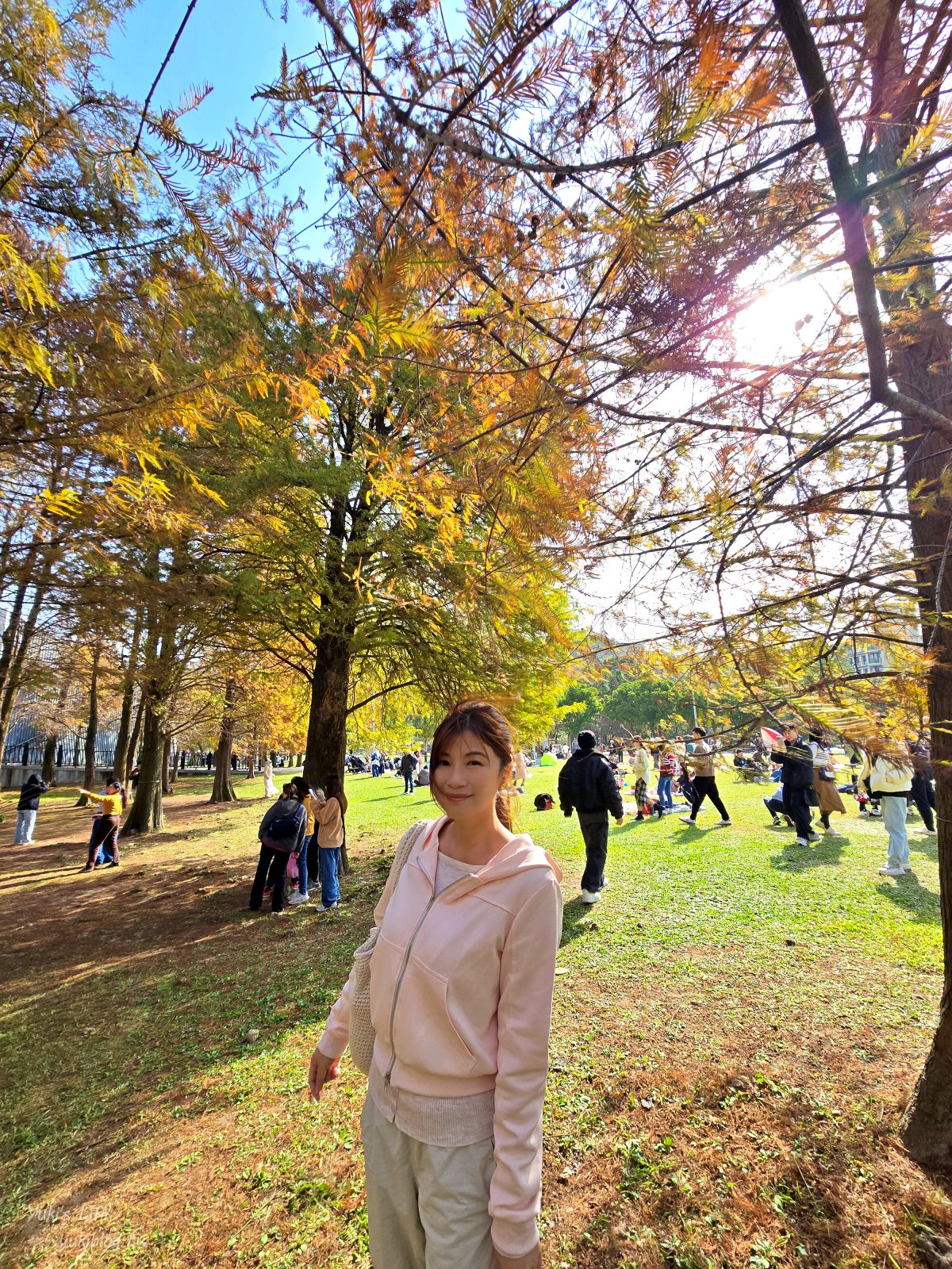 20260131161629_0_31048c 【內湖一日遊】紫色吊橋吃豆花草莓pizza、隱藏咖啡廳賞101，免門票落羽松景點野餐超chill！情侶約會、親子放電！