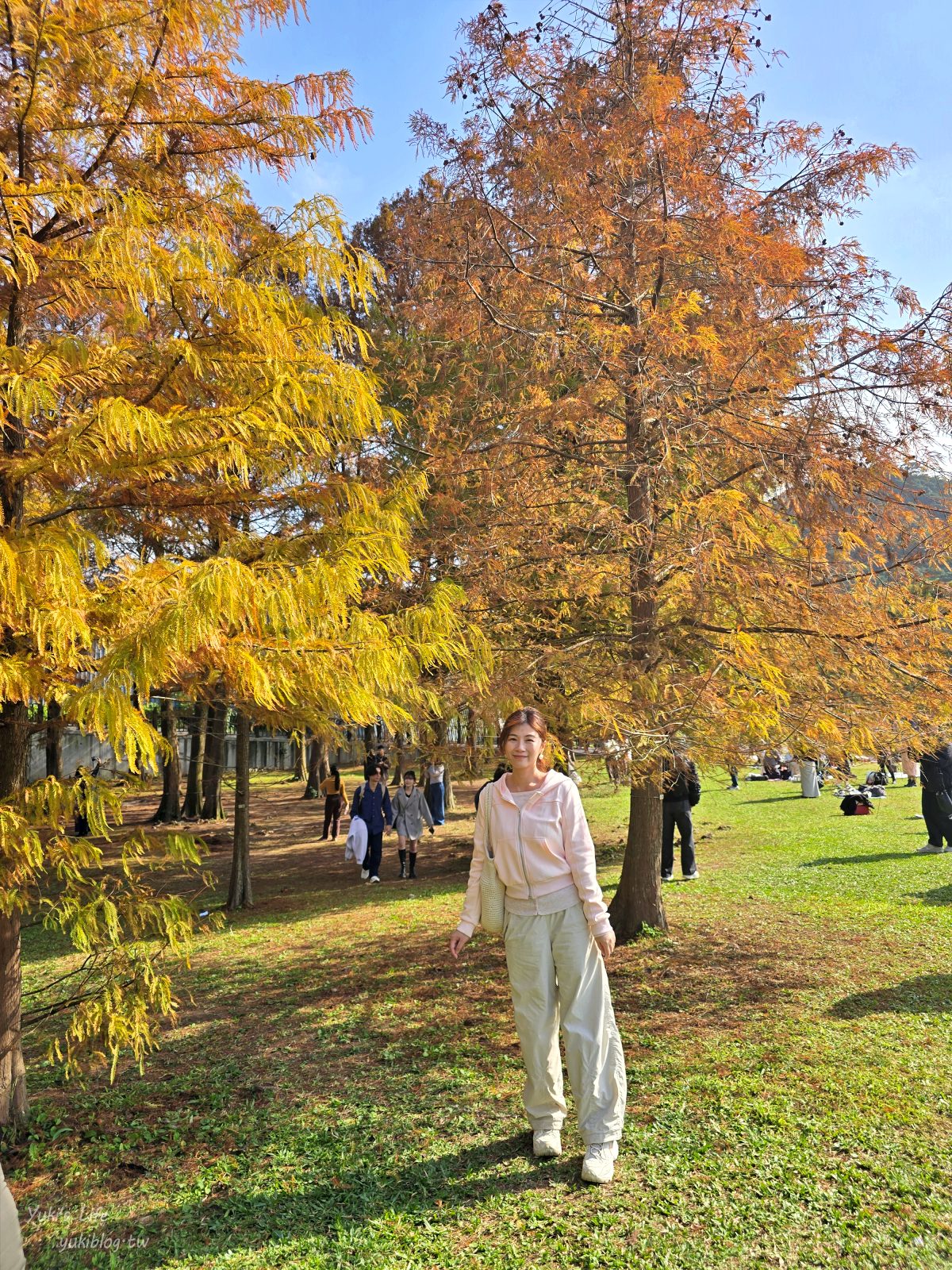 20260131161629_0_97d88a 【內湖一日遊】紫色吊橋吃豆花草莓pizza、隱藏咖啡廳賞101，免門票落羽松景點野餐超chill！情侶約會、親子放電！