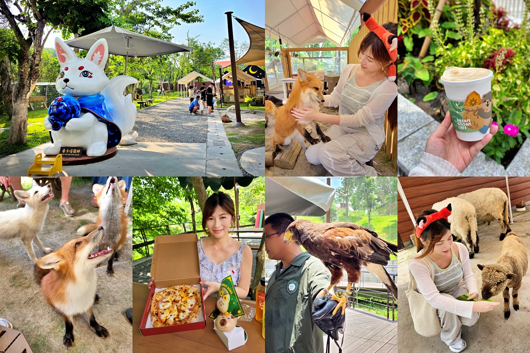 20260604221157_0_0a1905 高雄內門新景點！野森動物學校：全台唯一紅白狐狸谷體驗，一票玩到底！