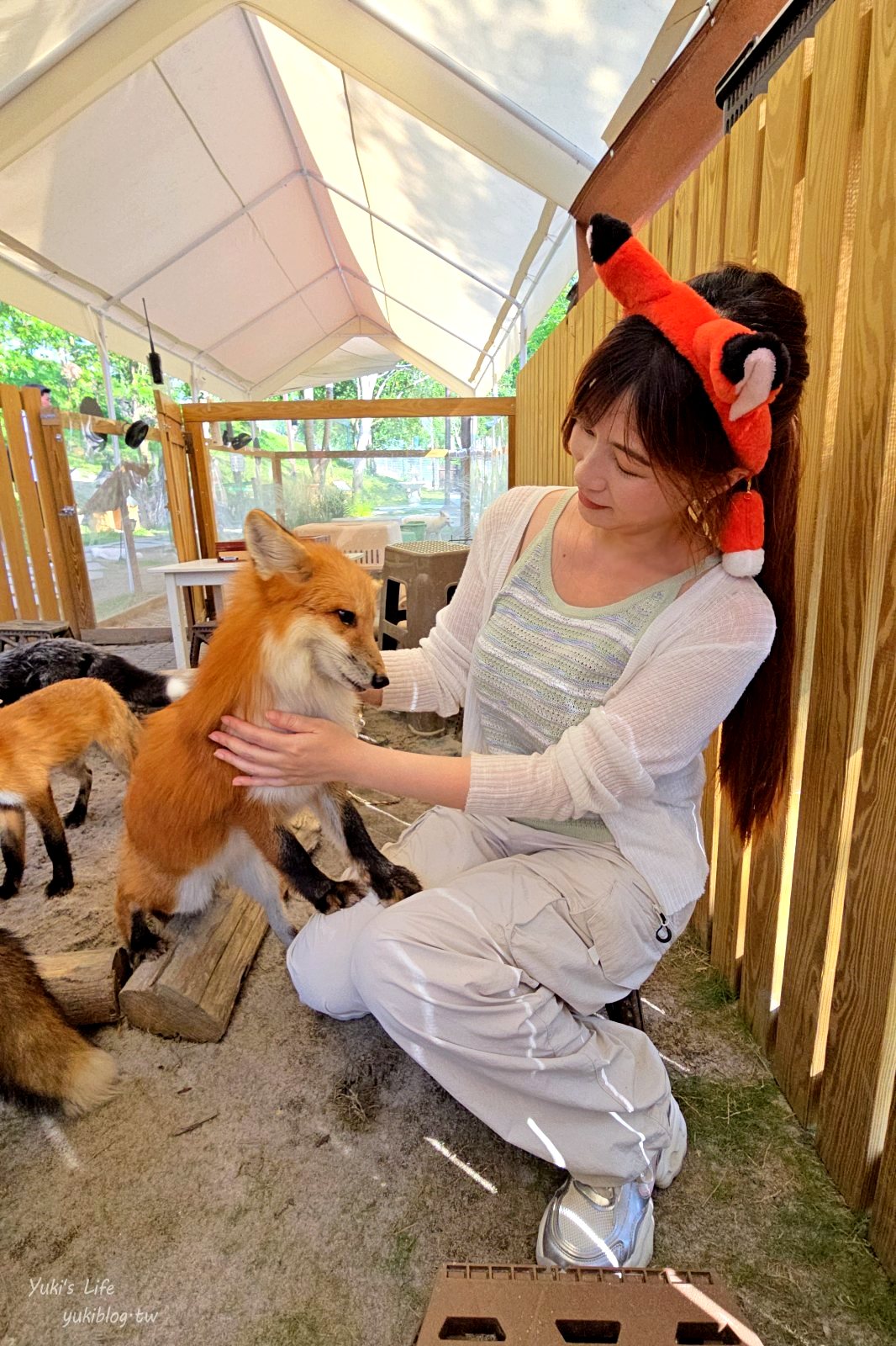 20260605164849_0_169adb 高雄內門新景點！野森動物學校：全台唯一紅白狐狸谷體驗，一票玩到底！