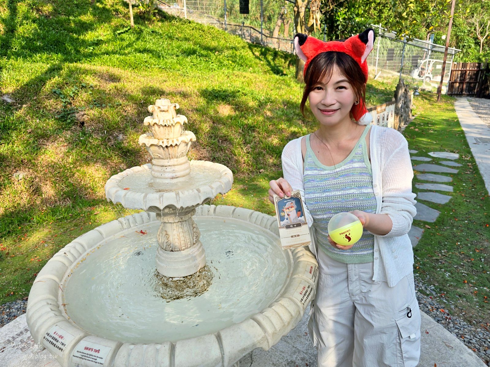 20260605164955_0_56a164 高雄內門新景點！野森動物學校：全台唯一紅白狐狸谷體驗，一票玩到底！