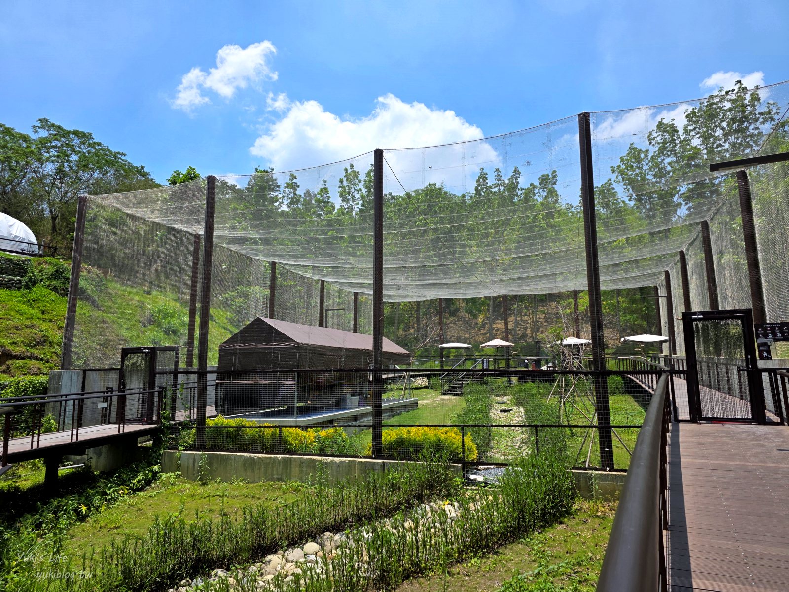 20260605165229_0_45b1d6 高雄內門新景點！野森動物學校：全台唯一紅白狐狸谷體驗，一票玩到底！
