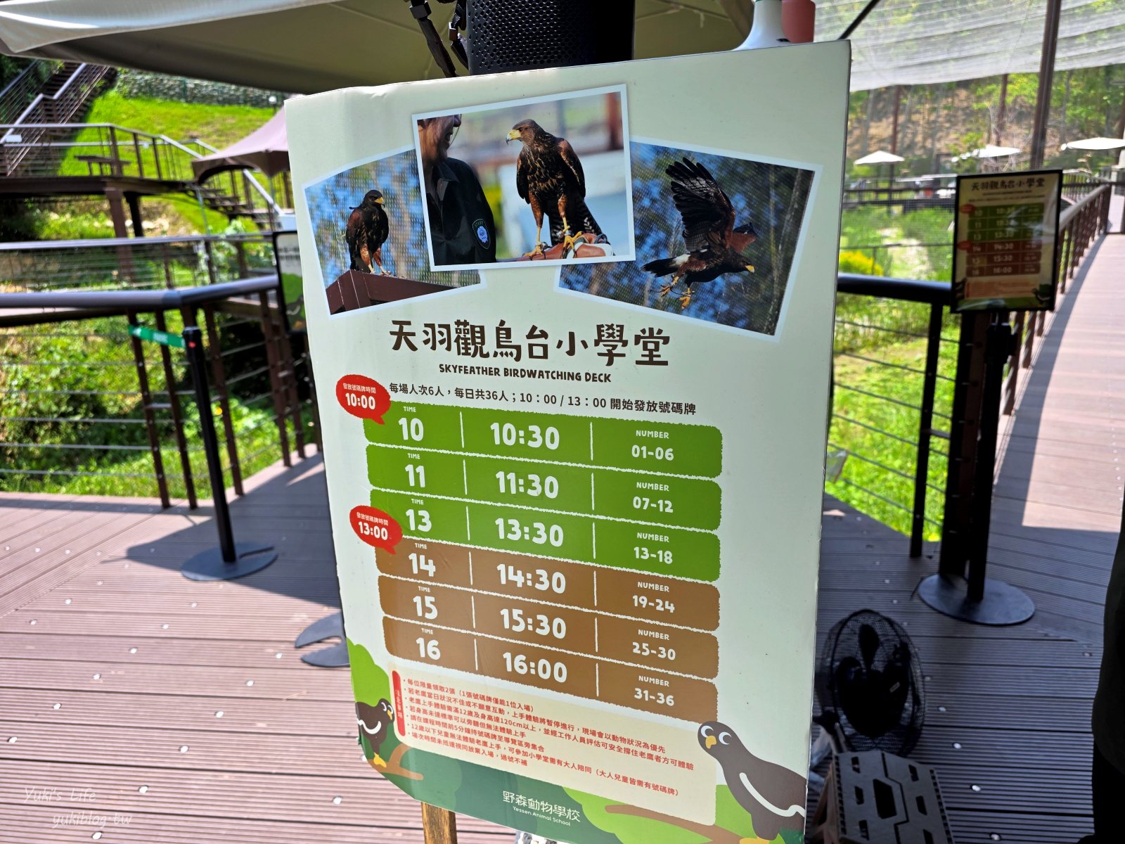 20260605165235_0_ac3030 高雄內門新景點！野森動物學校：全台唯一紅白狐狸谷體驗，一票玩到底！