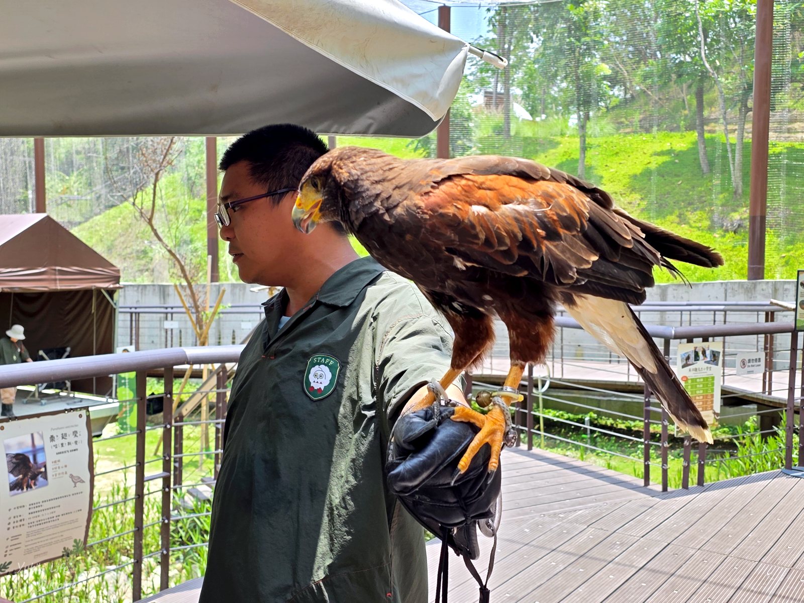 20260605165308_0_833ef1 高雄內門新景點！野森動物學校：全台唯一紅白狐狸谷體驗，一票玩到底！