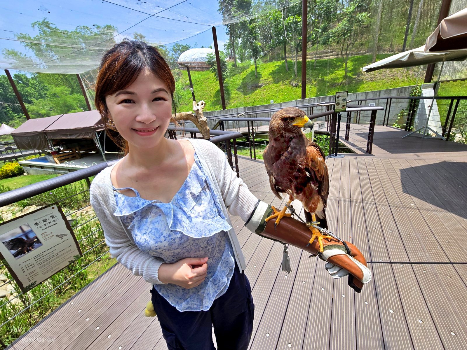 20260605165507_0_197ae5 高雄內門新景點！野森動物學校：全台唯一紅白狐狸谷體驗，一票玩到底！