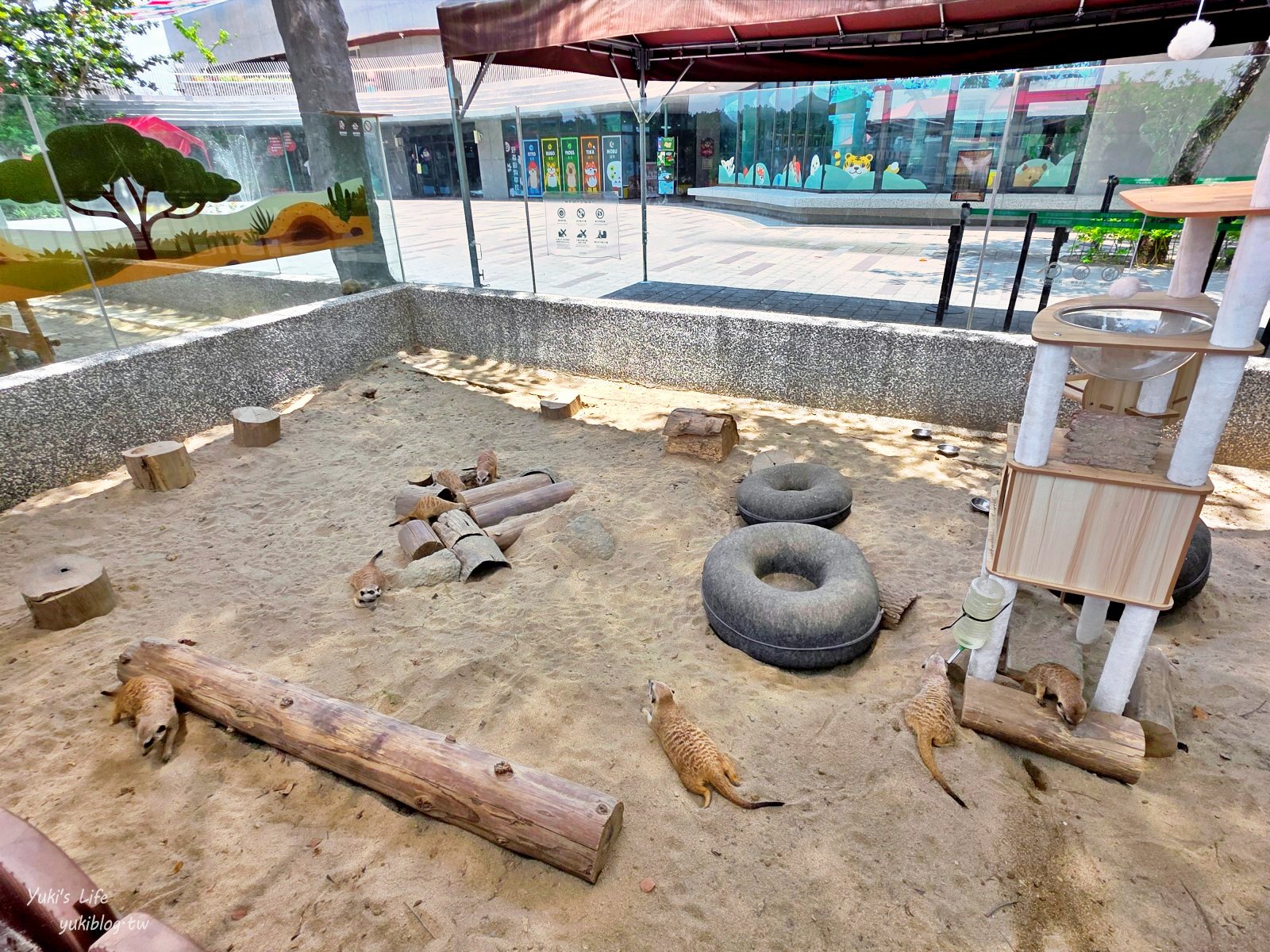 20260605170848_0_f837c5 高雄內門新景點！野森動物學校：全台唯一紅白狐狸谷體驗，一票玩到底！